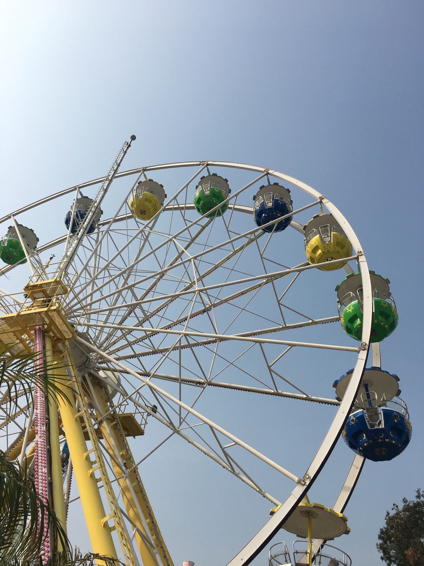 海洋公园 day7 jan23 香港迪士尼乐园 day8 jan24 澳门 金沙城中心