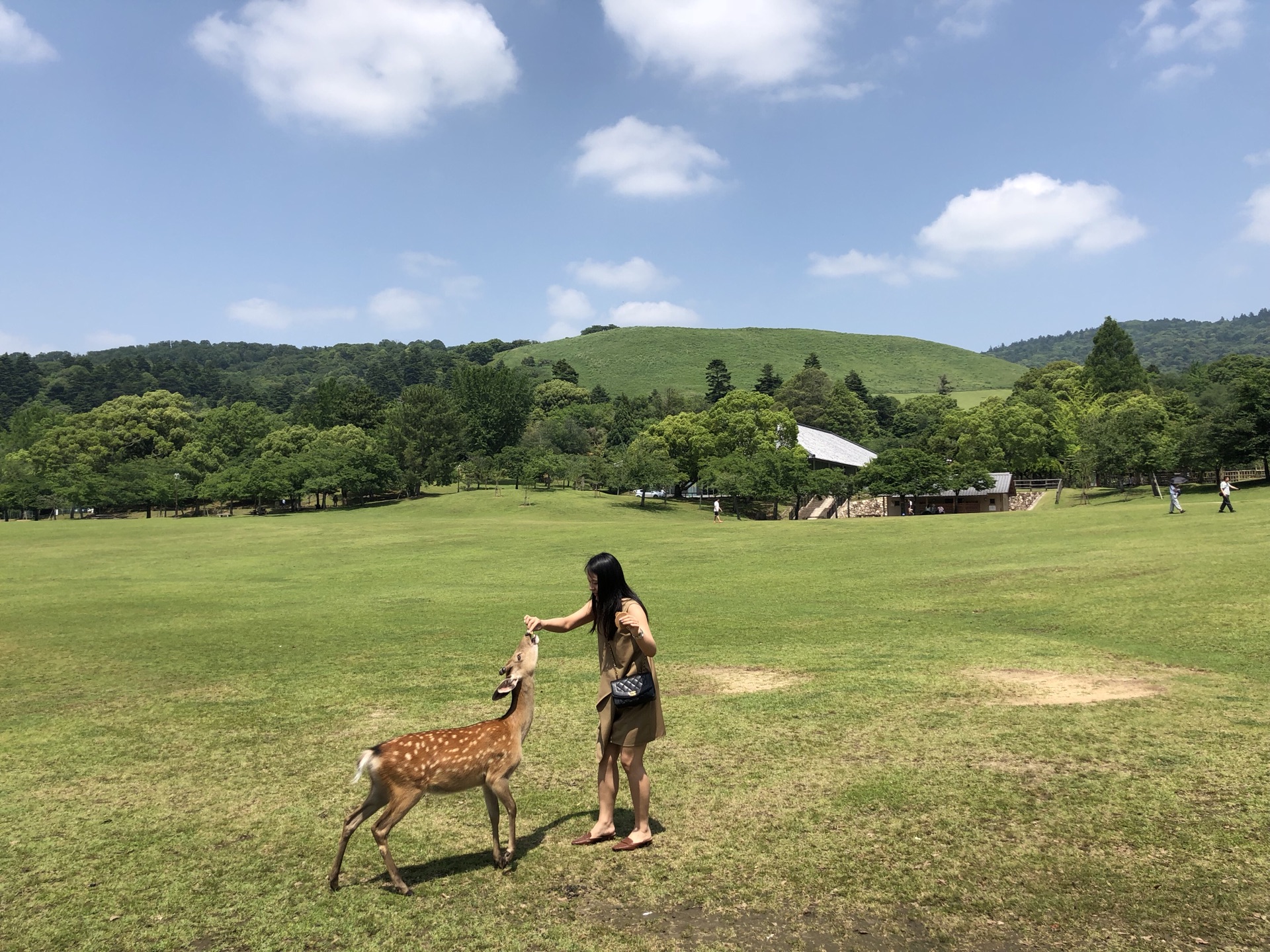 富士山自助遊攻略