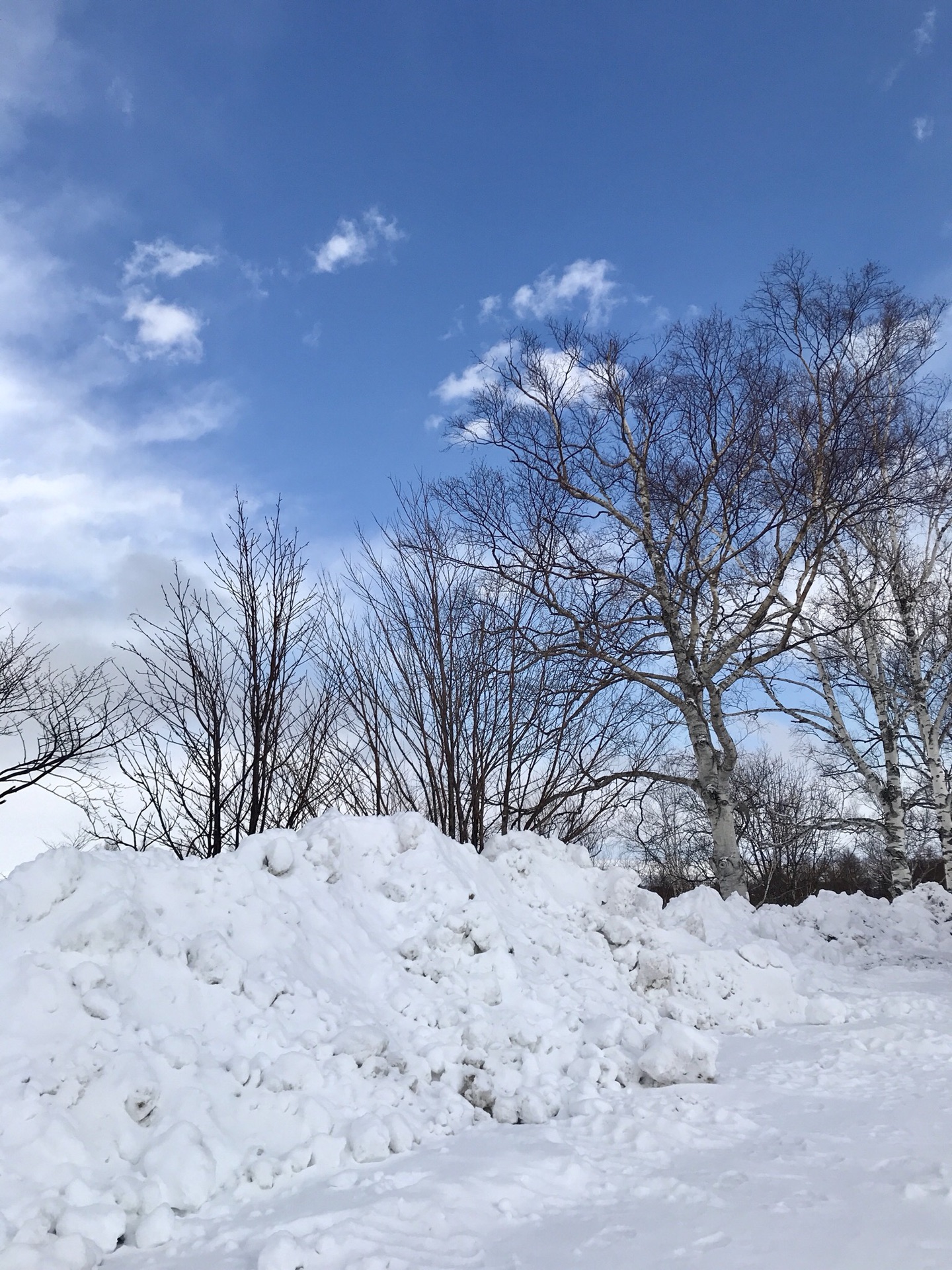 北海道自助遊攻略