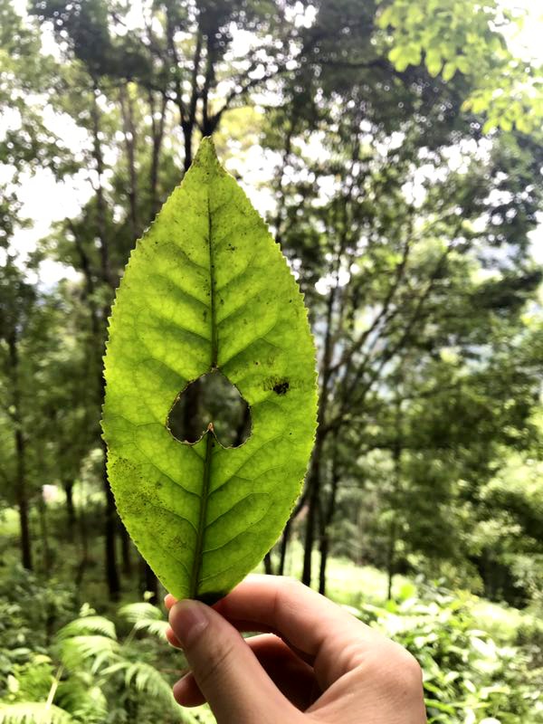 泰國自助遊攻略