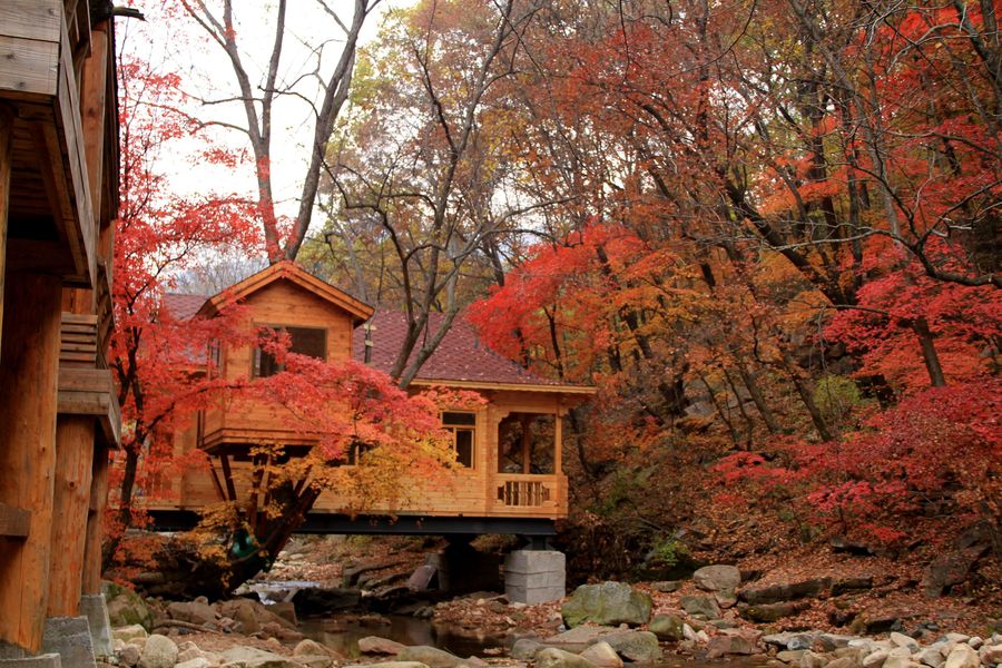本溪枫林谷纯玩一日休闲游