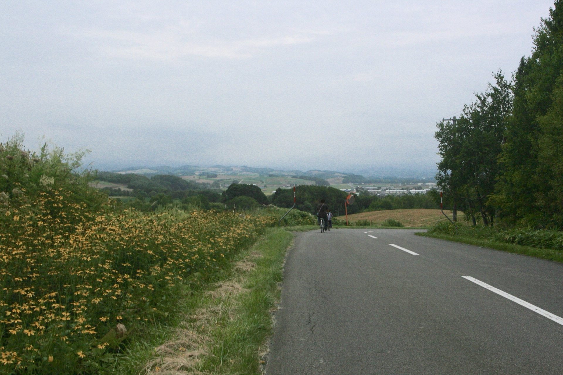 北海道自助遊攻略