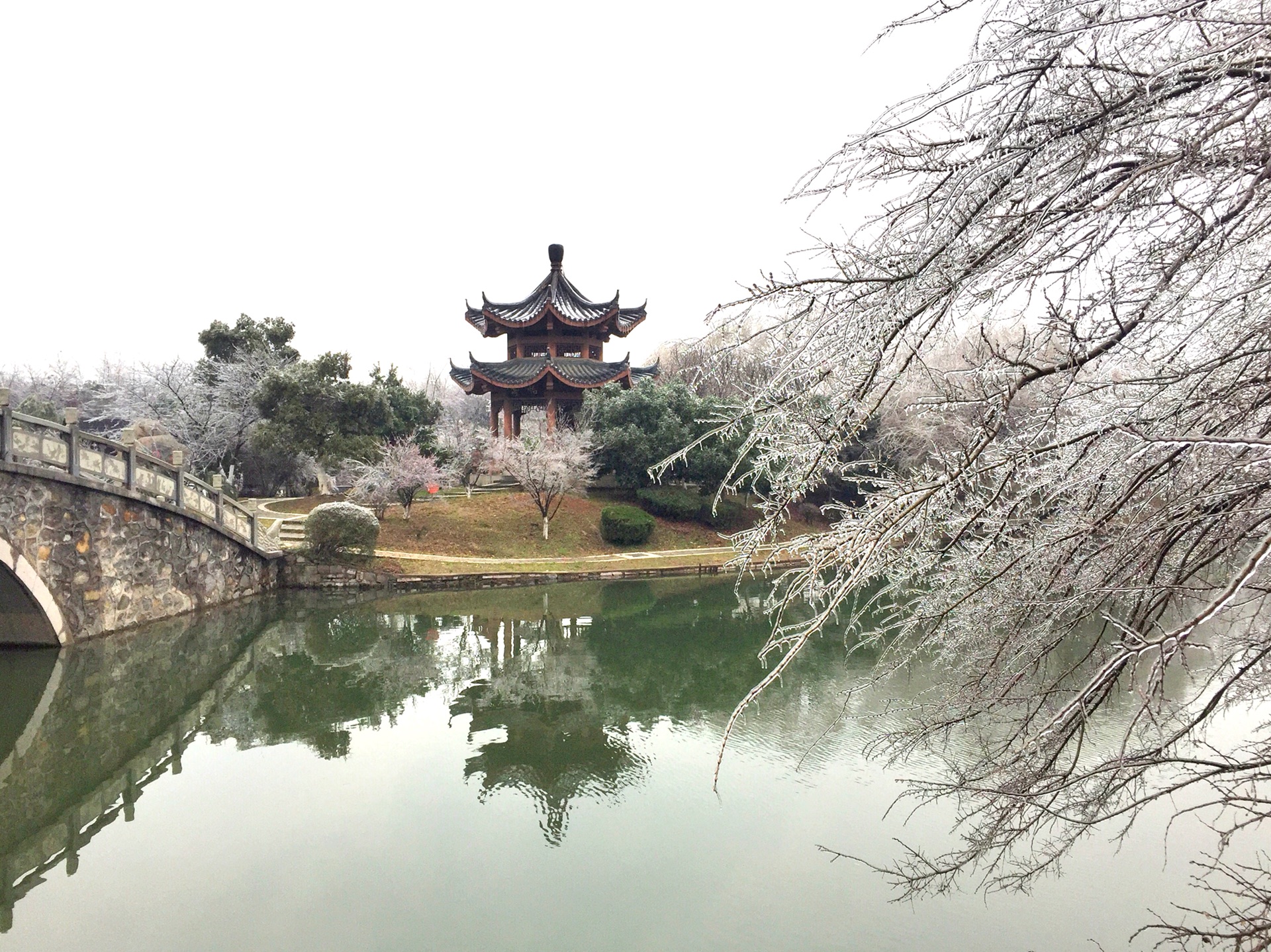 南昌八大山人梅湖的冬天(手机拍摄)