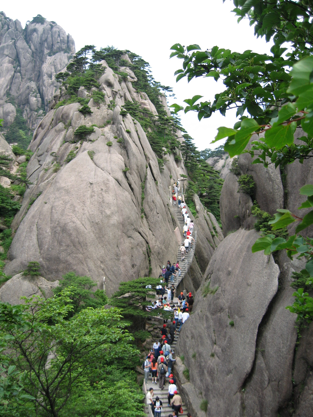 不遠的記憶:黃山一日行