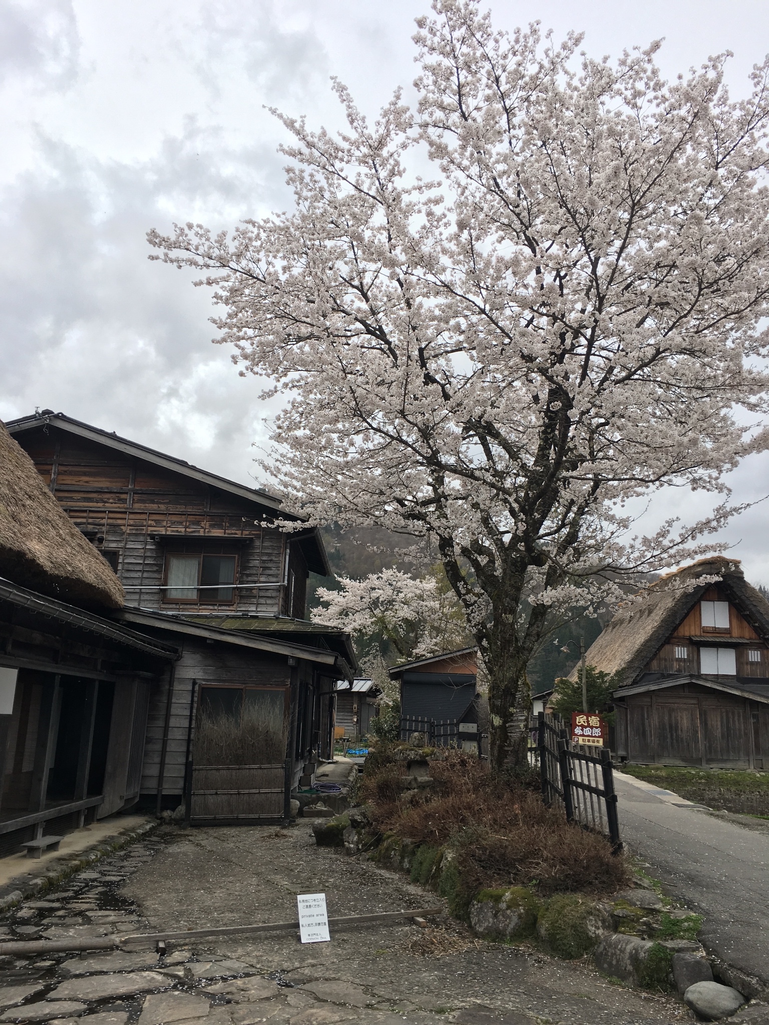 名古屋自助遊攻略