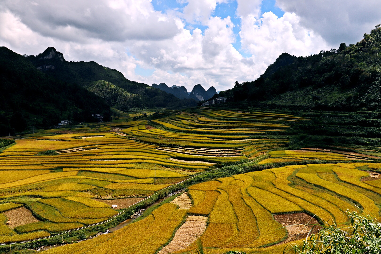 【靖西景点图片】巴泽梯田