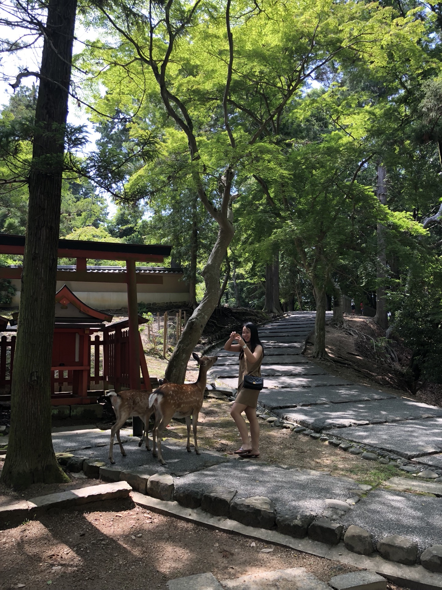 富士山自助遊攻略