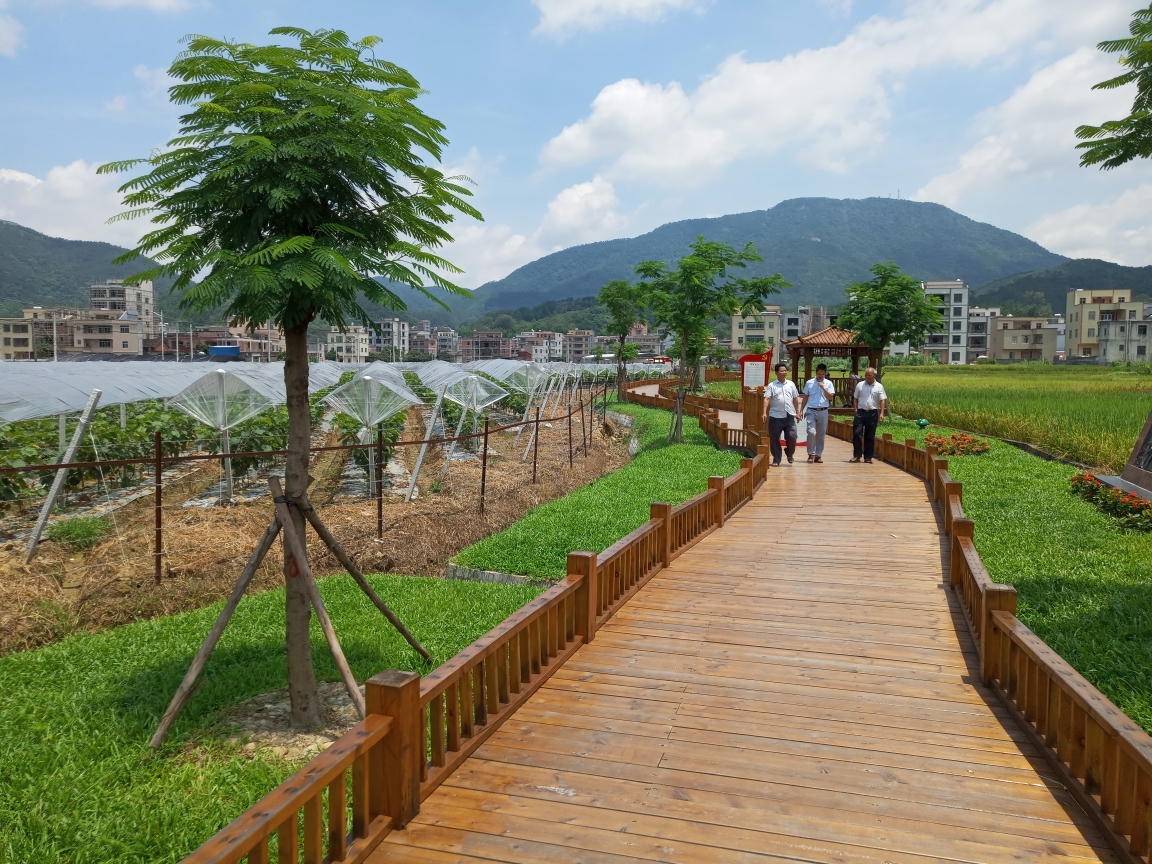 2018-7-3 北逻村初心长廊 菩竹水信宜土鸡