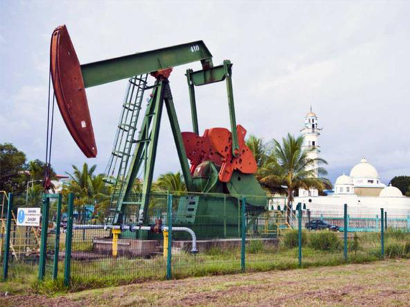 文莱 油田之旅半日游( 中文服务 接送 2人起订)