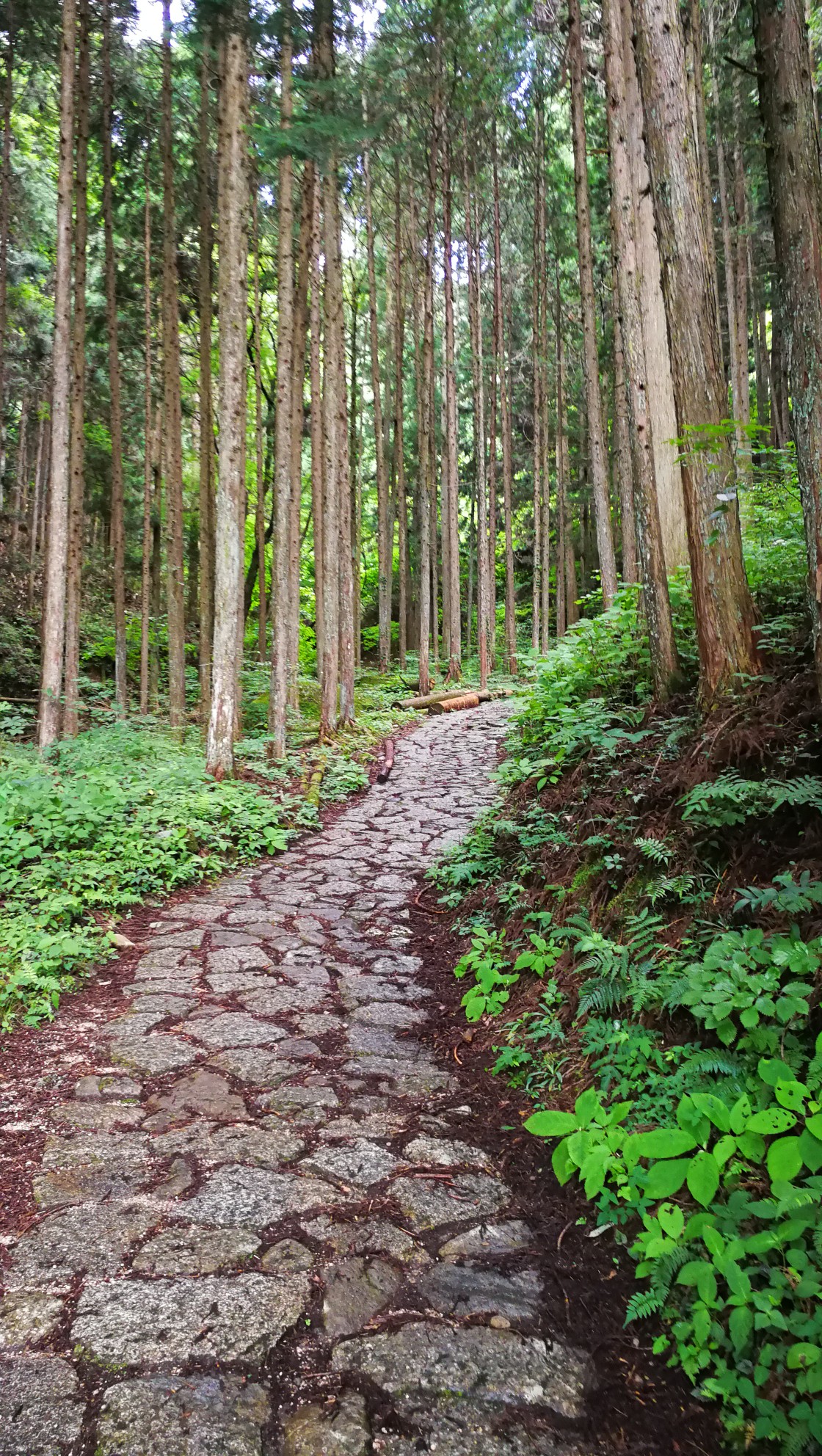 名古屋自助遊攻略