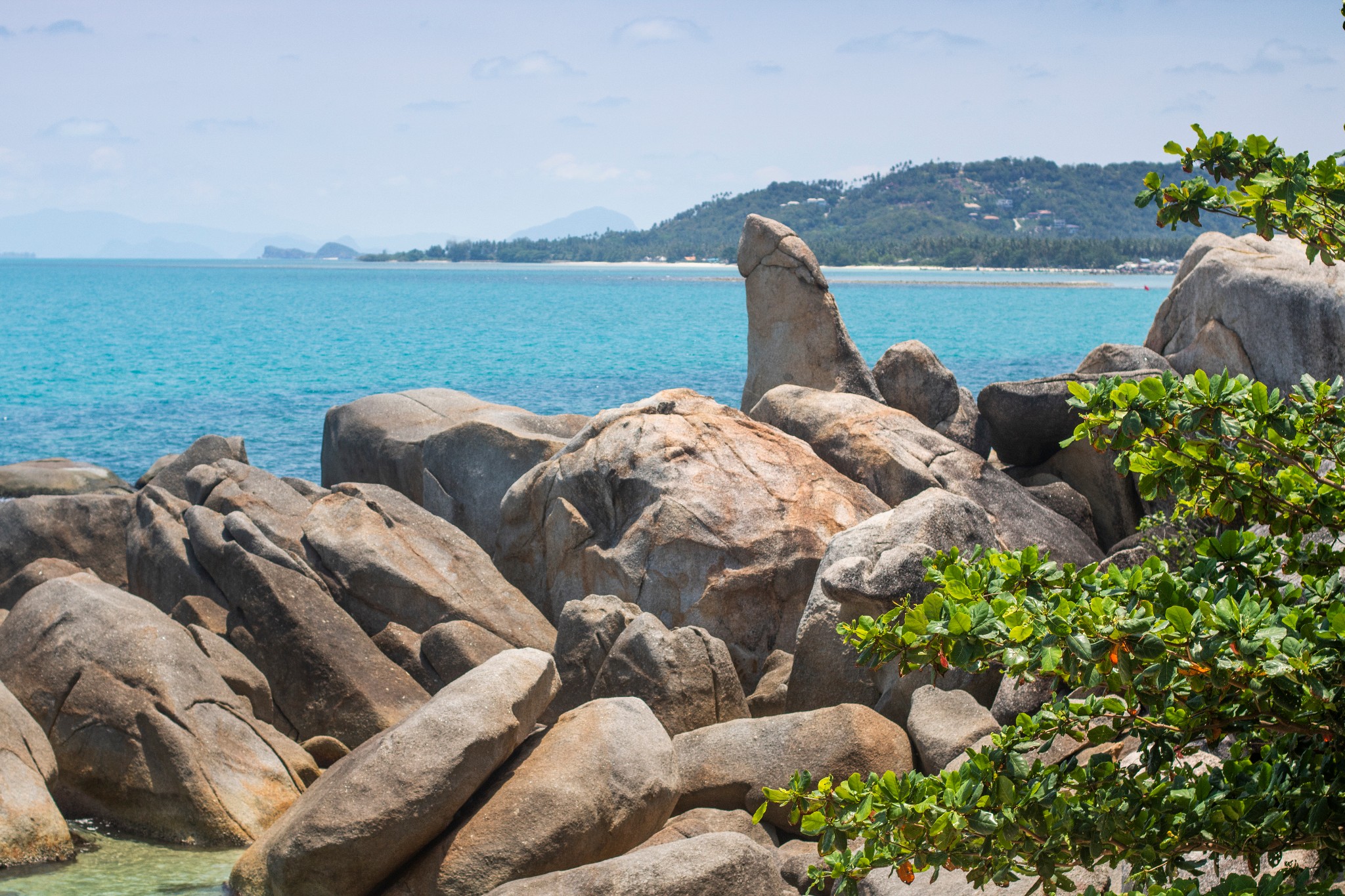 素叻他尼旅游图片