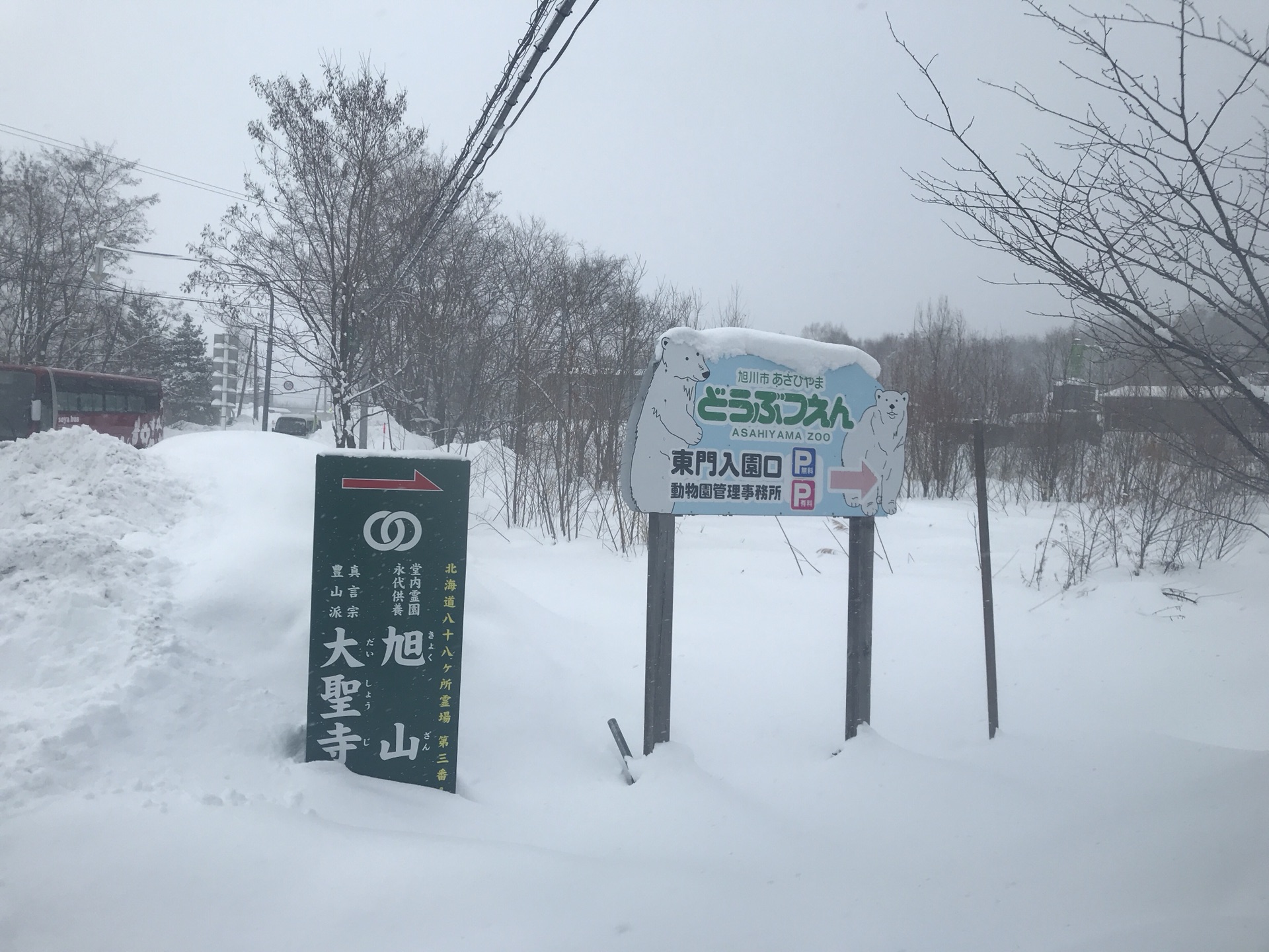 北海道自助遊攻略