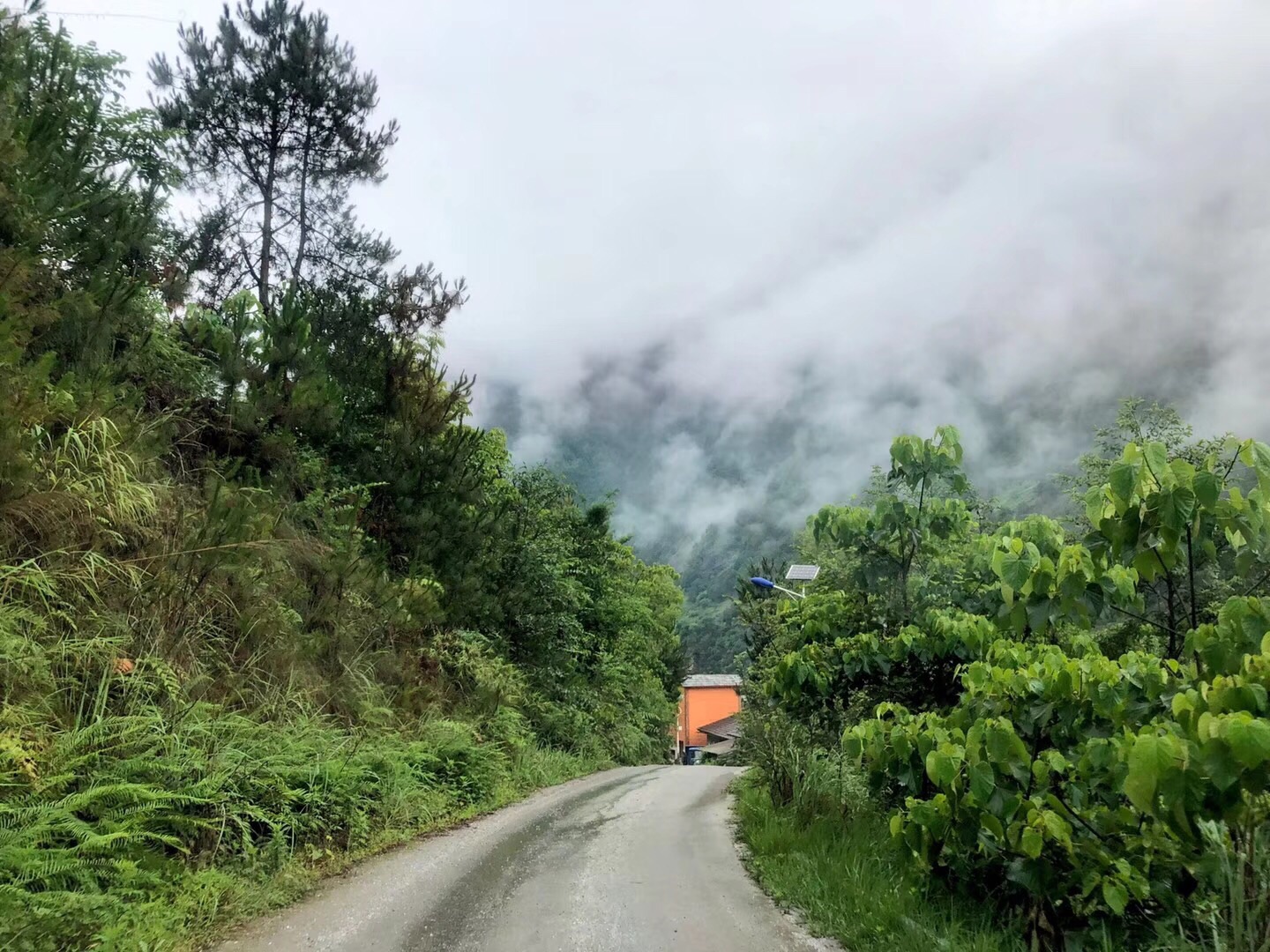 貢山獨龍族怒族自治縣 遊記 丙中洛的早上,天氣微涼,小雨