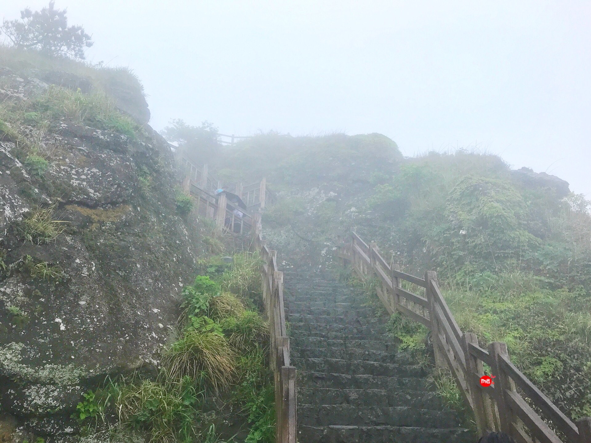 濟州島自助遊攻略