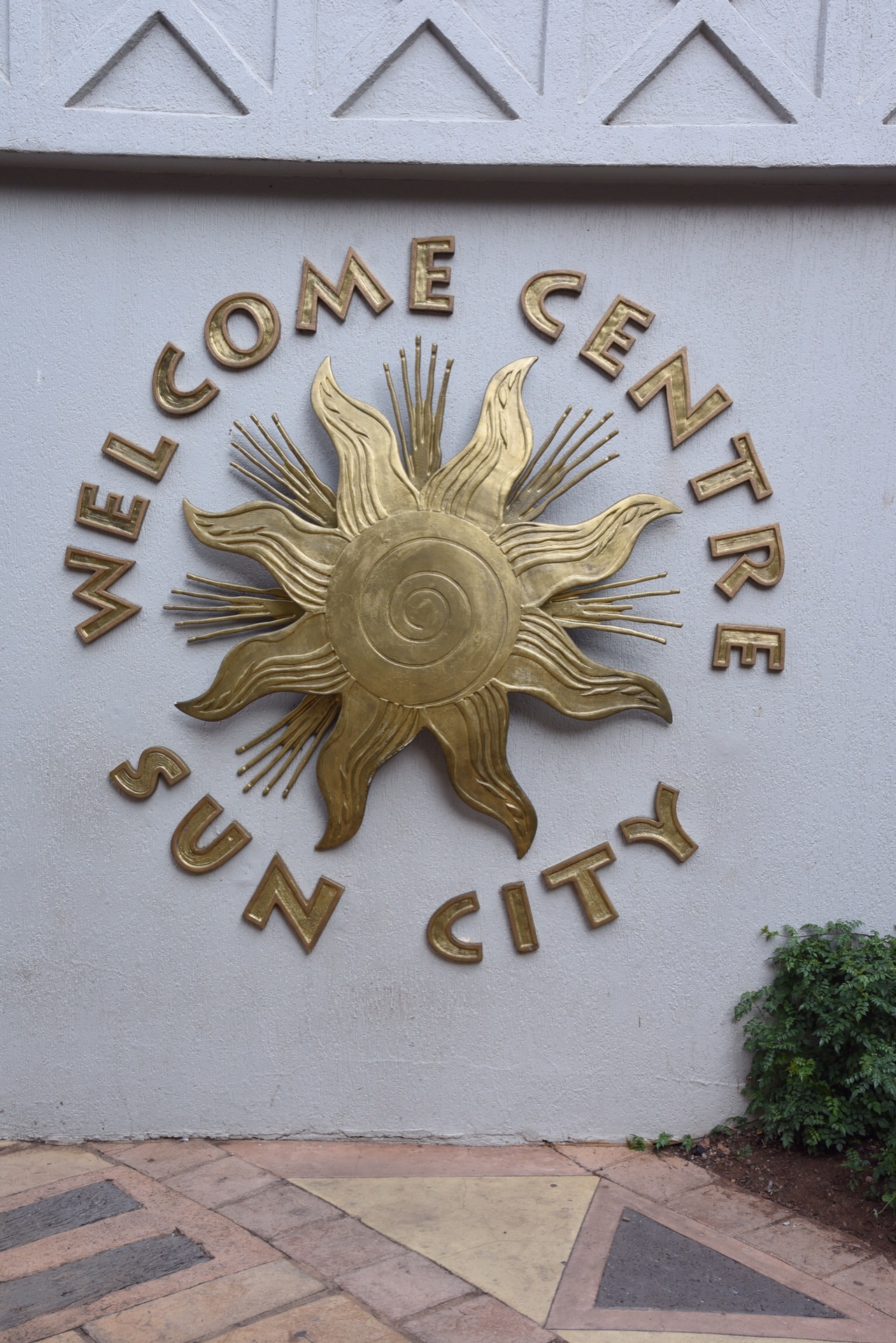 safari in 南非克鲁格 | 在冬季追逐动物的足迹!(下)