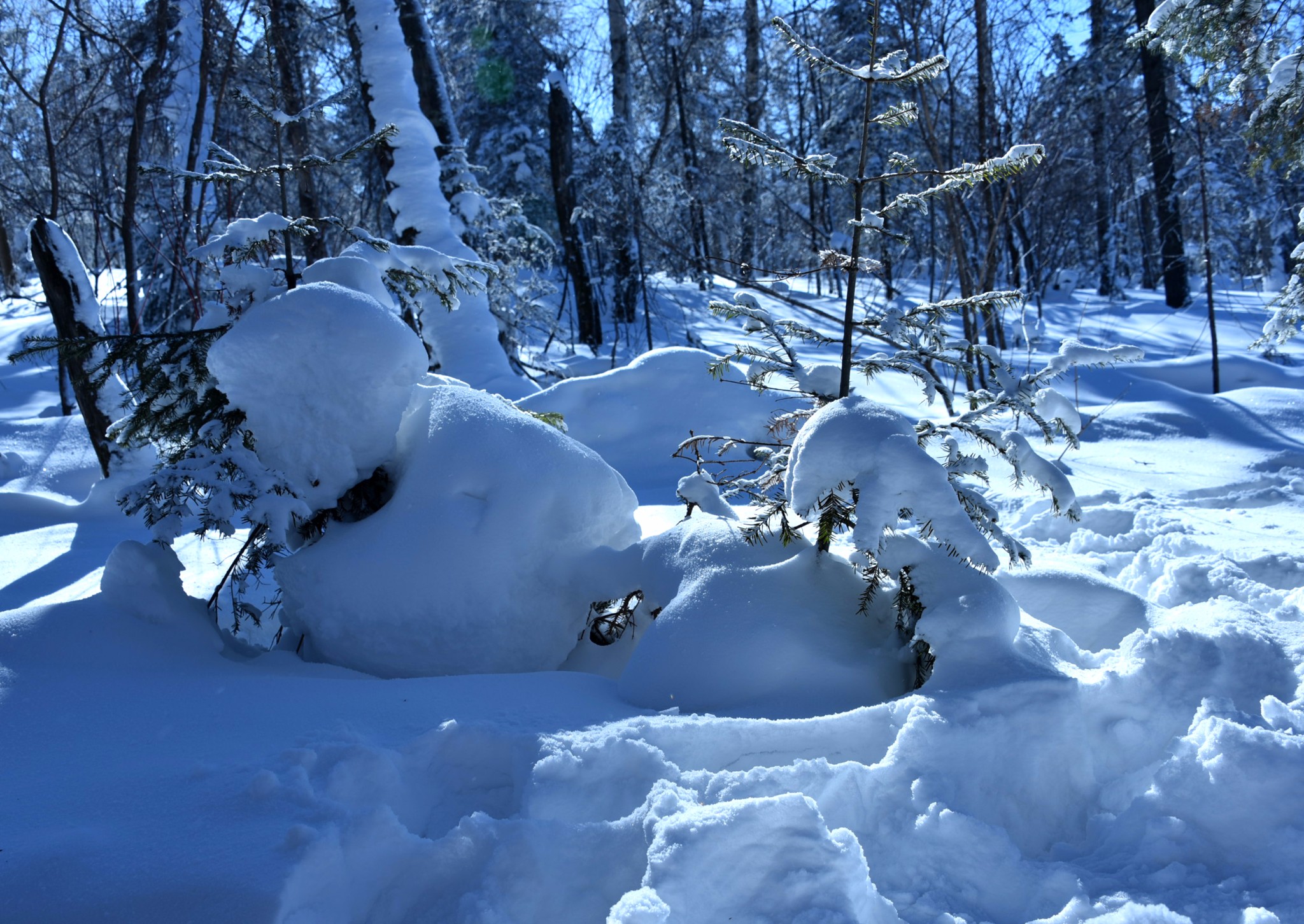 雪鄉自助遊攻略