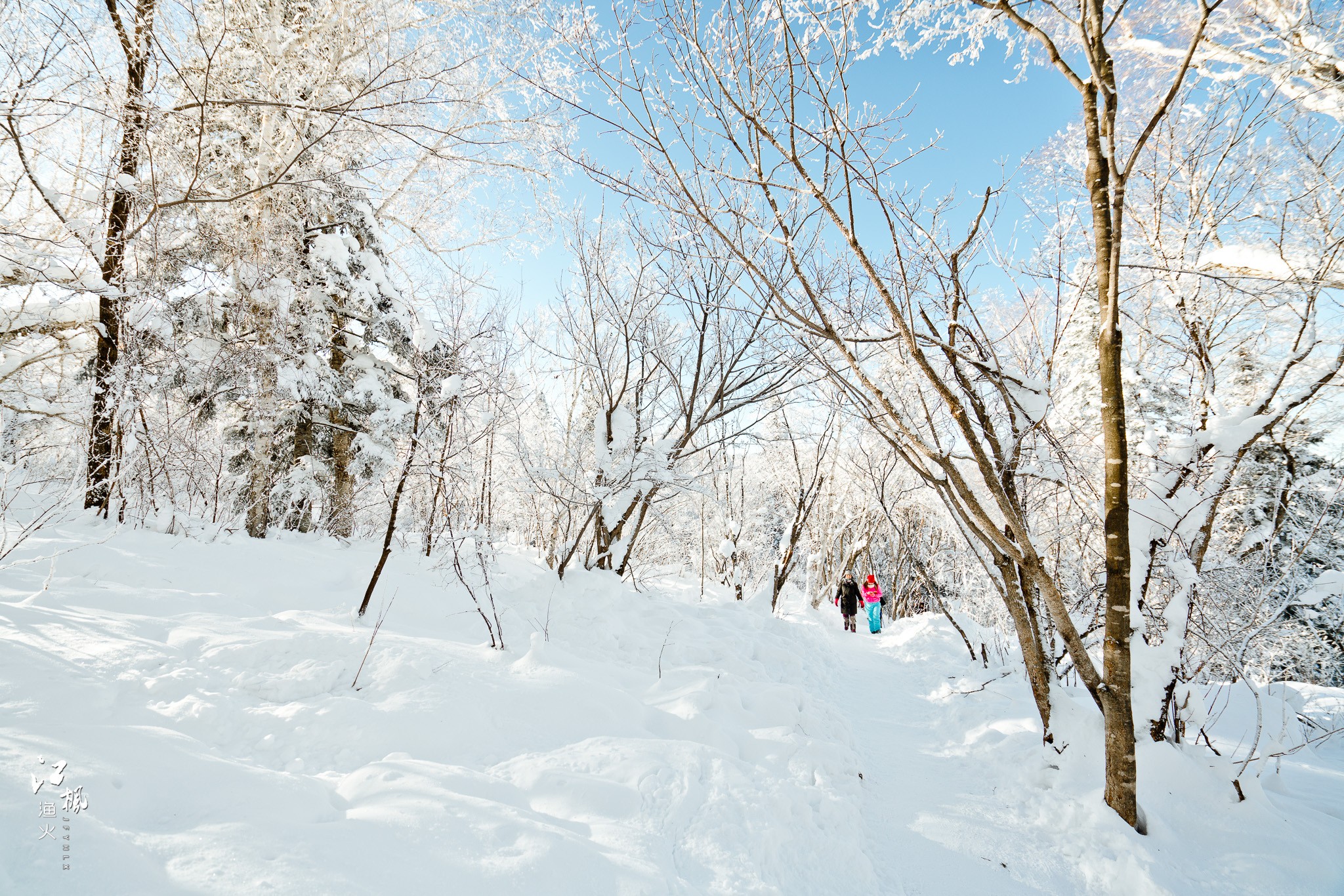 雪鄉自助遊攻略