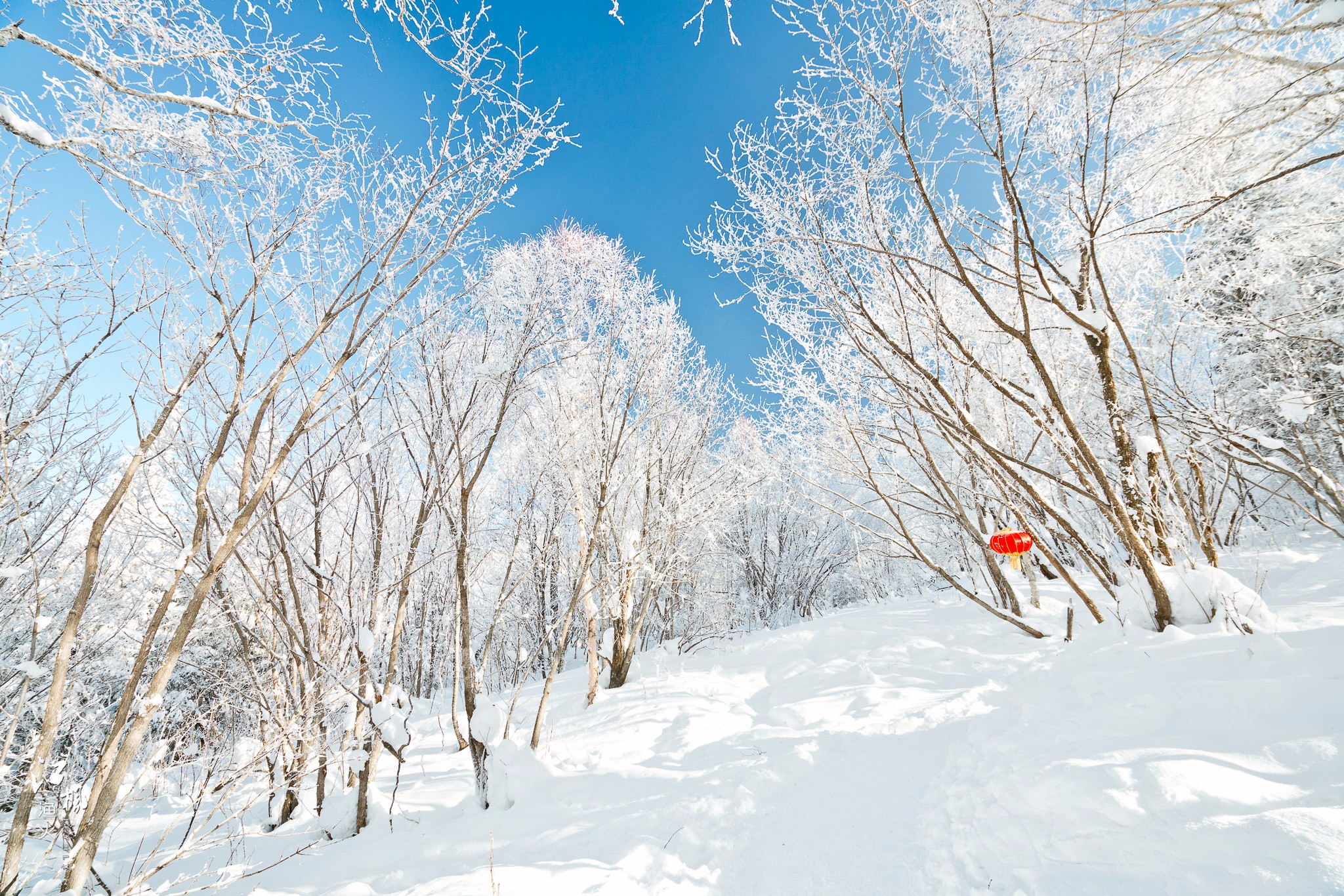 雪鄉自助遊攻略