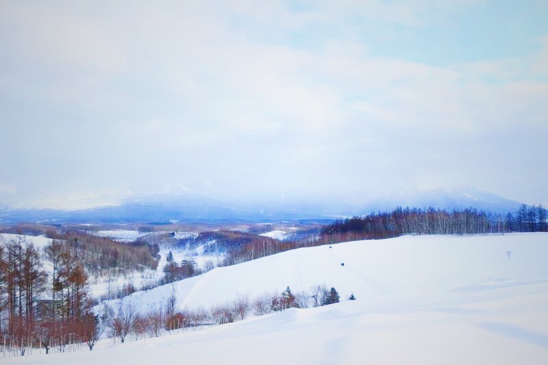 北海道自助遊攻略