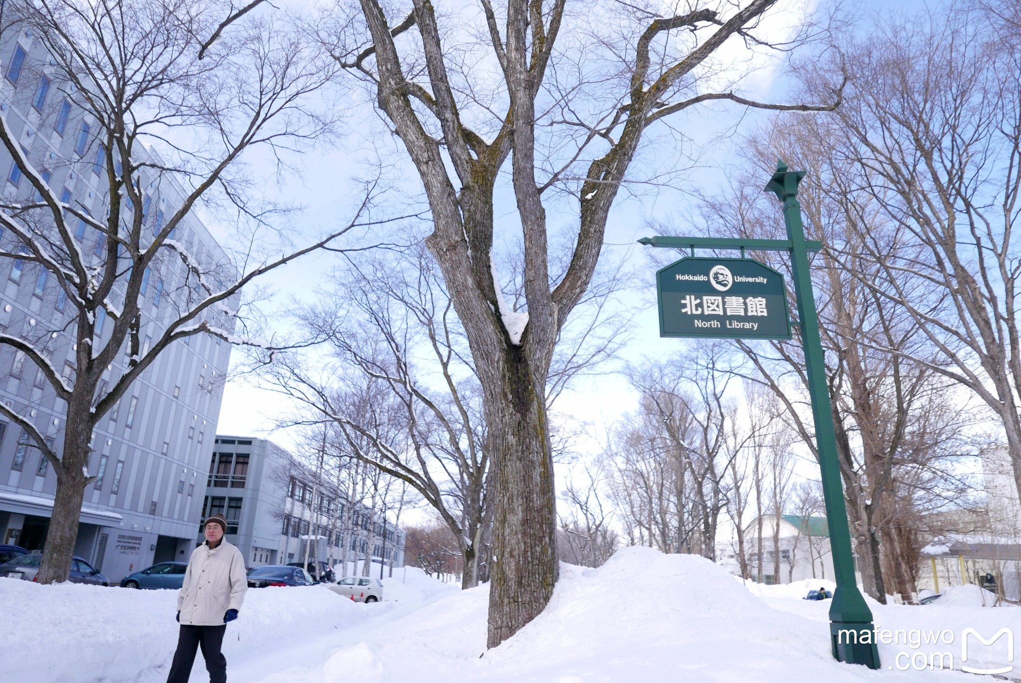 北海道自助遊攻略