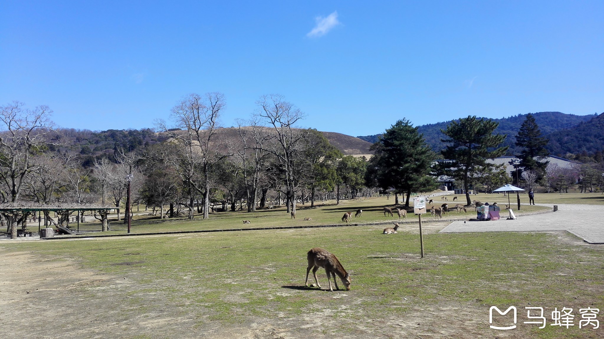 札幌自助遊攻略