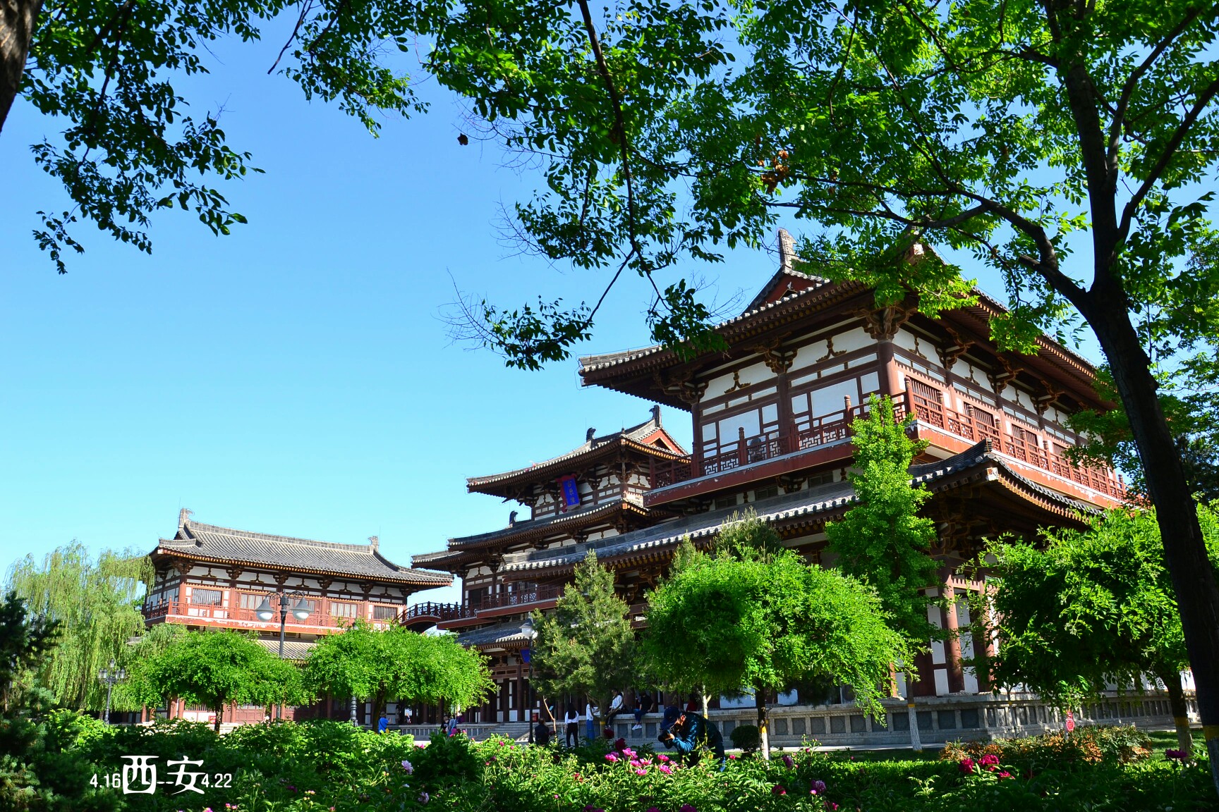 西安乐游原-青龙寺攻略,乐游原-青龙寺门票_地址,乐游原-青龙寺游览