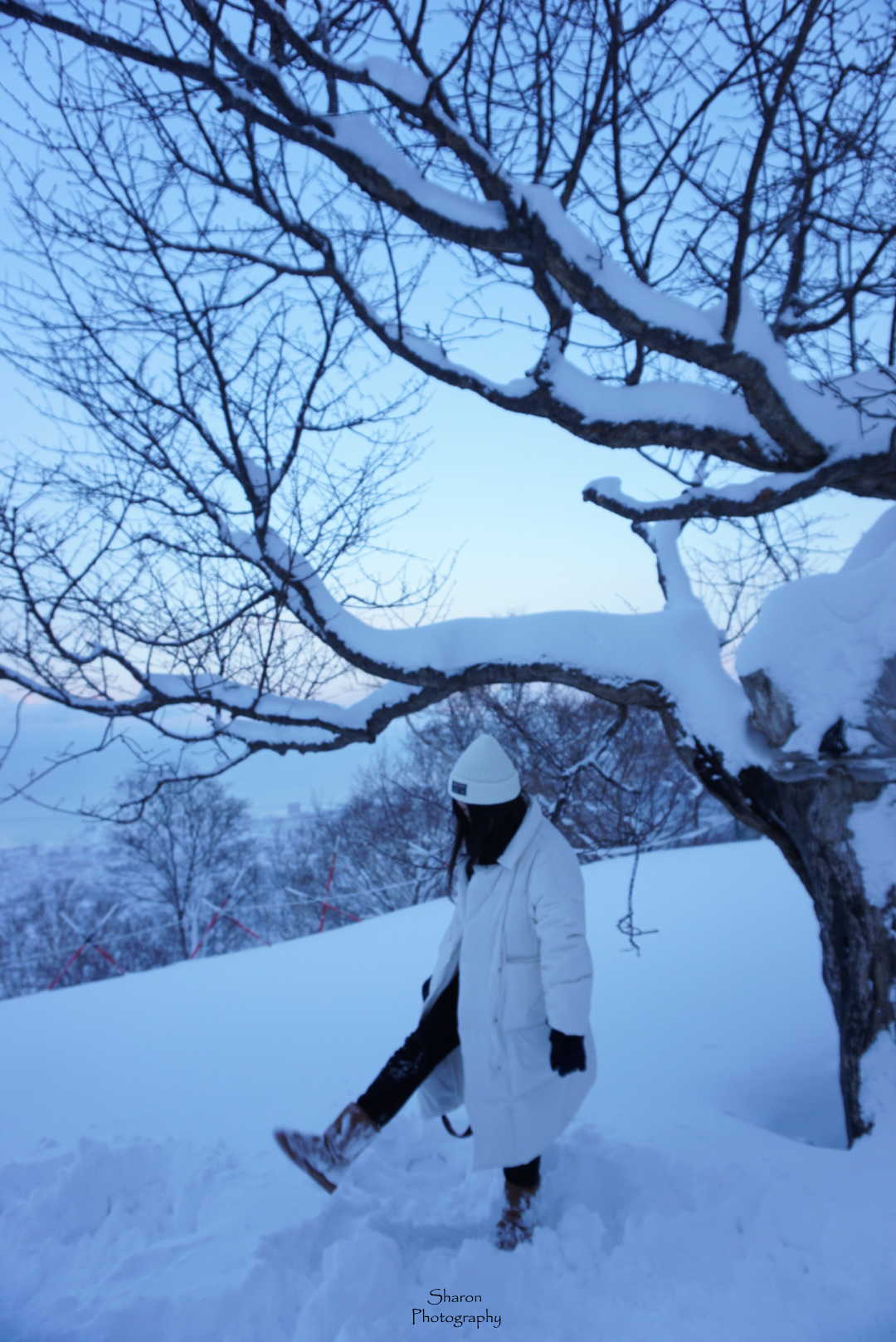 wKgBEFqNHkKAIqQqAA23F8dC98M74.jpeg?imageView2%2F2%2Fw%2F680%2Fq%2F90%7CimageMogr2%2Fstrip%2Fquality%2F90