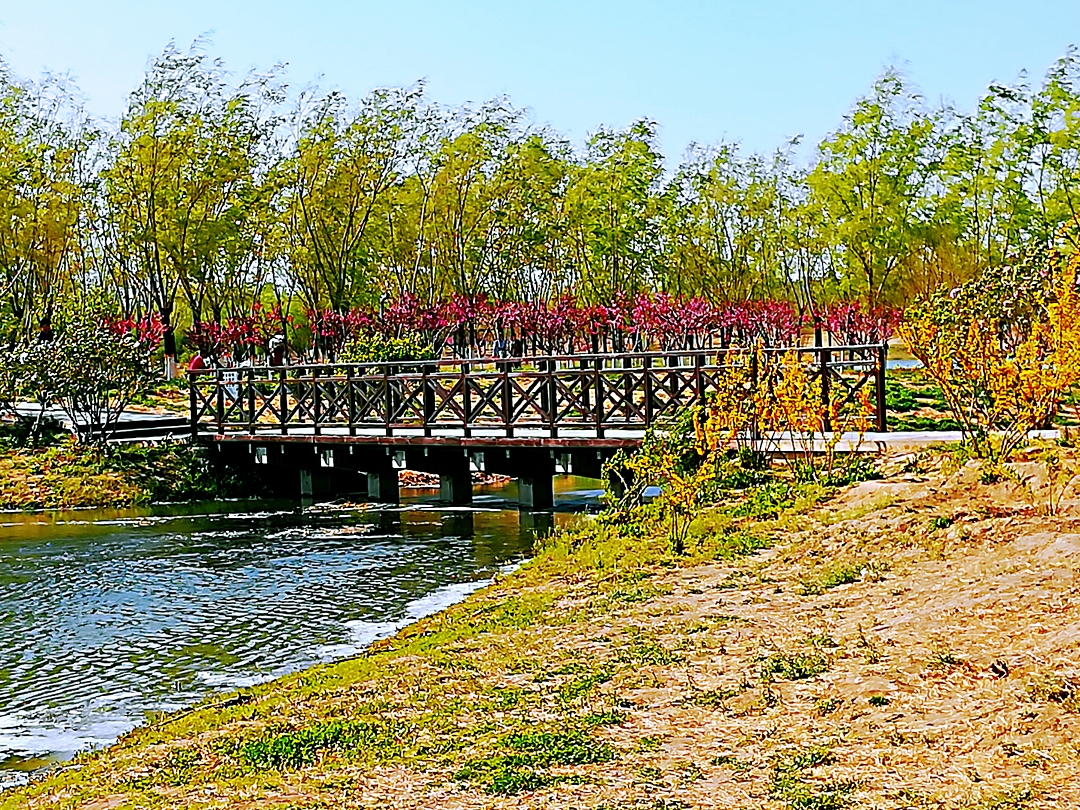 踏青昌平郊野公园