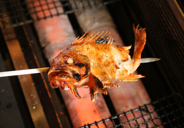 北海道盛夏避暑之旅,品尝日本三大名鱼——喜知次鱼