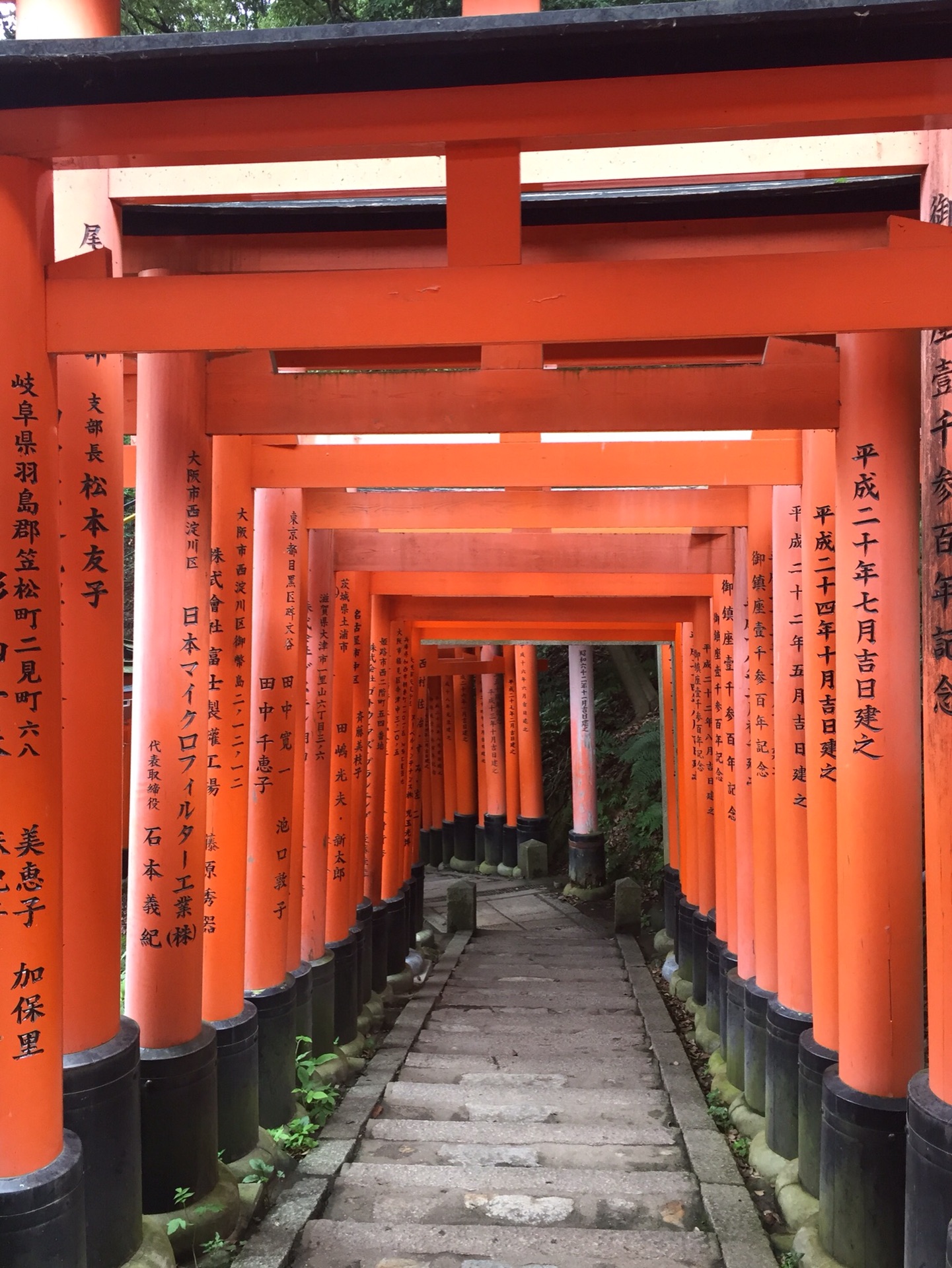 京都 大学→银阁寺→金戒光明寺→平安神宫→八坂神社