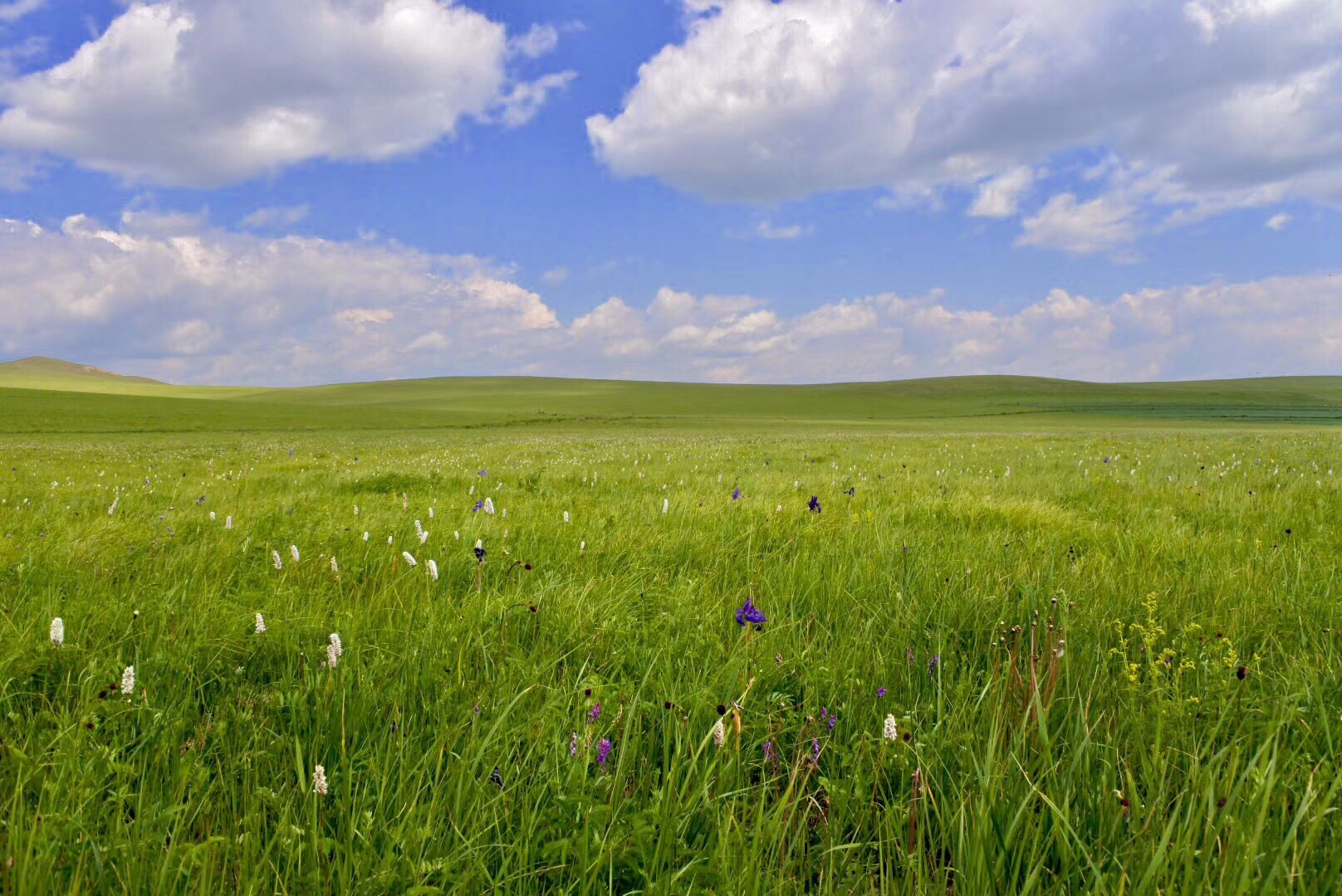 这一趟改变了我对草原的固有看法,我原以为草原应该是万里无云,艳阳高