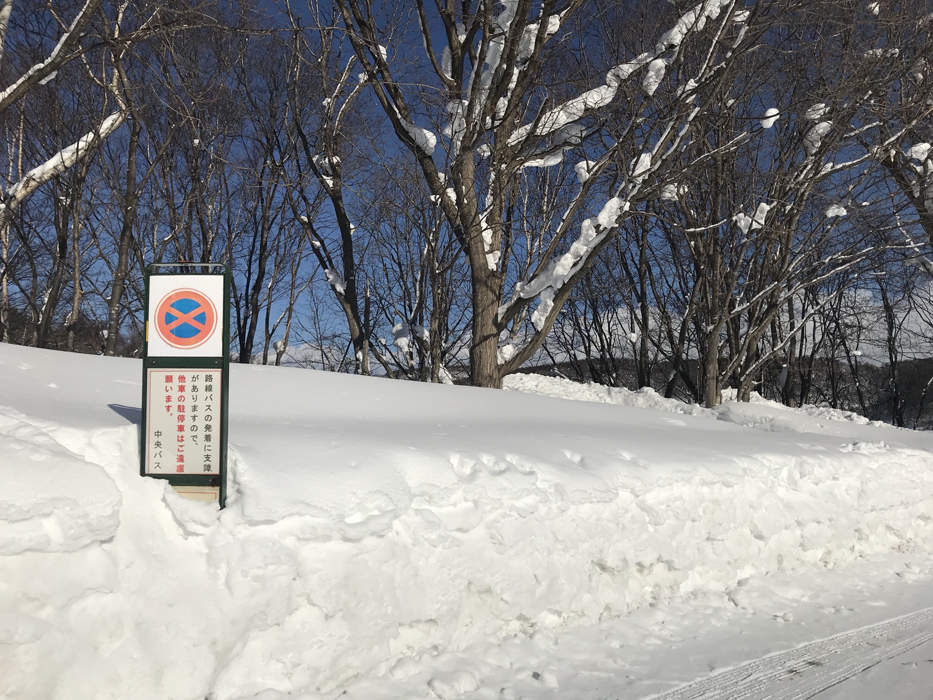 北海道自助遊攻略