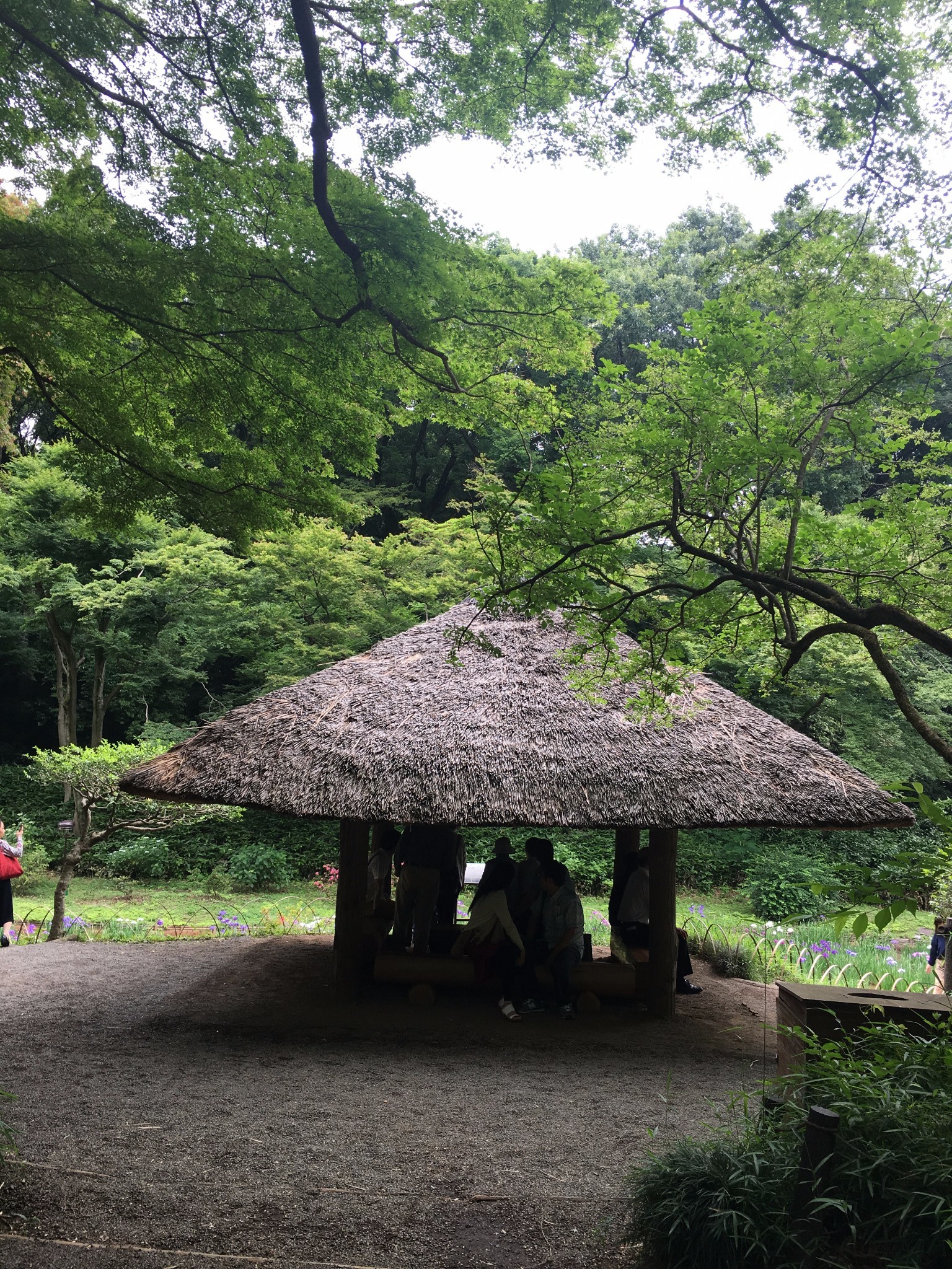 東京自助遊攻略