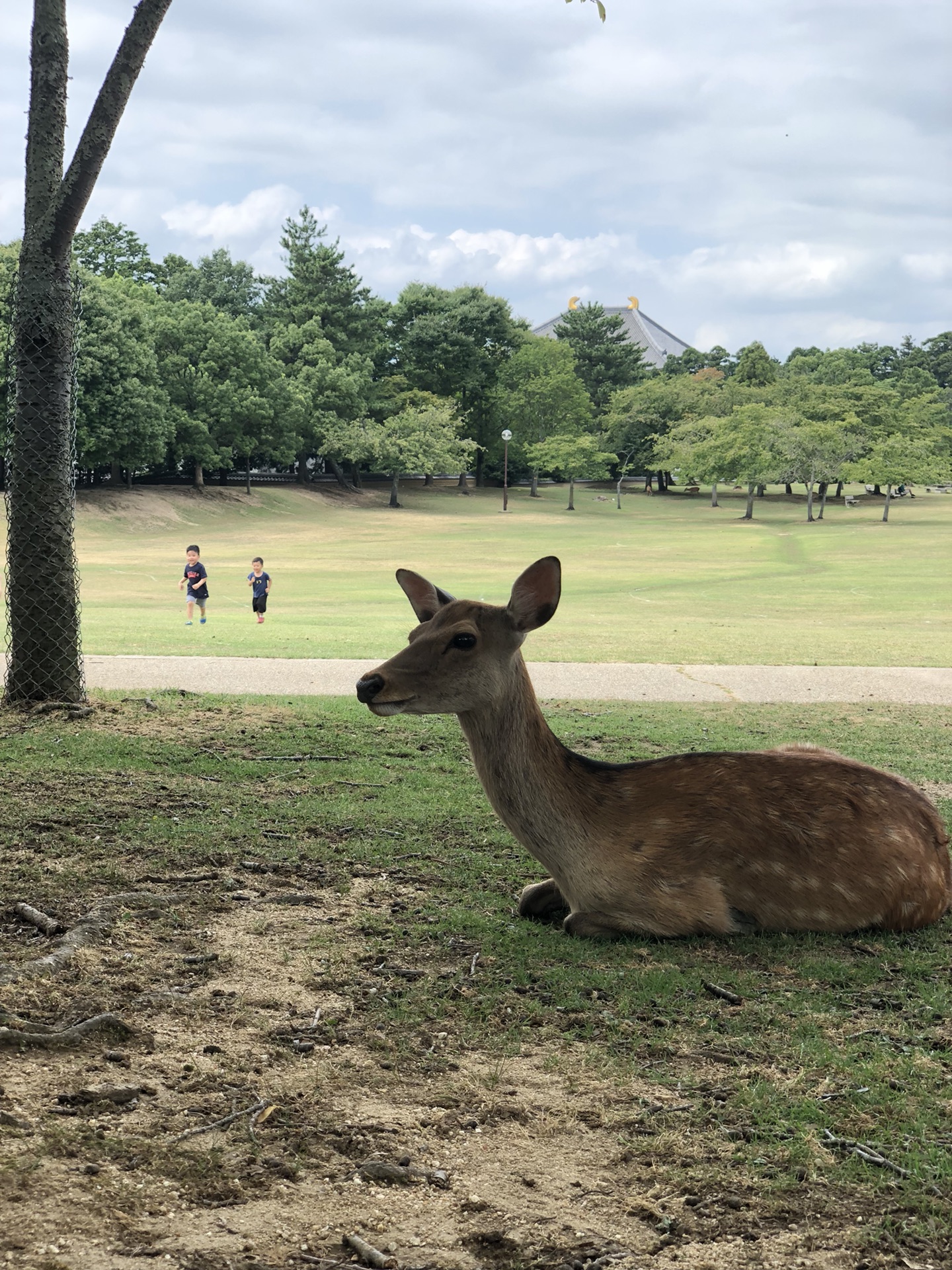 名古屋自助遊攻略