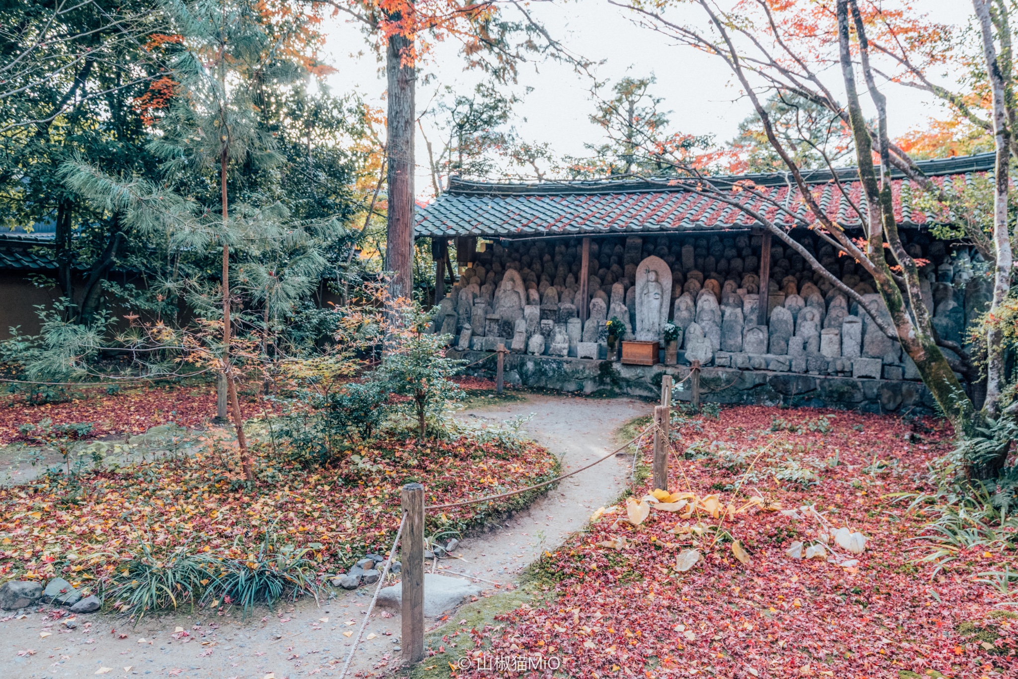 京都自助遊攻略