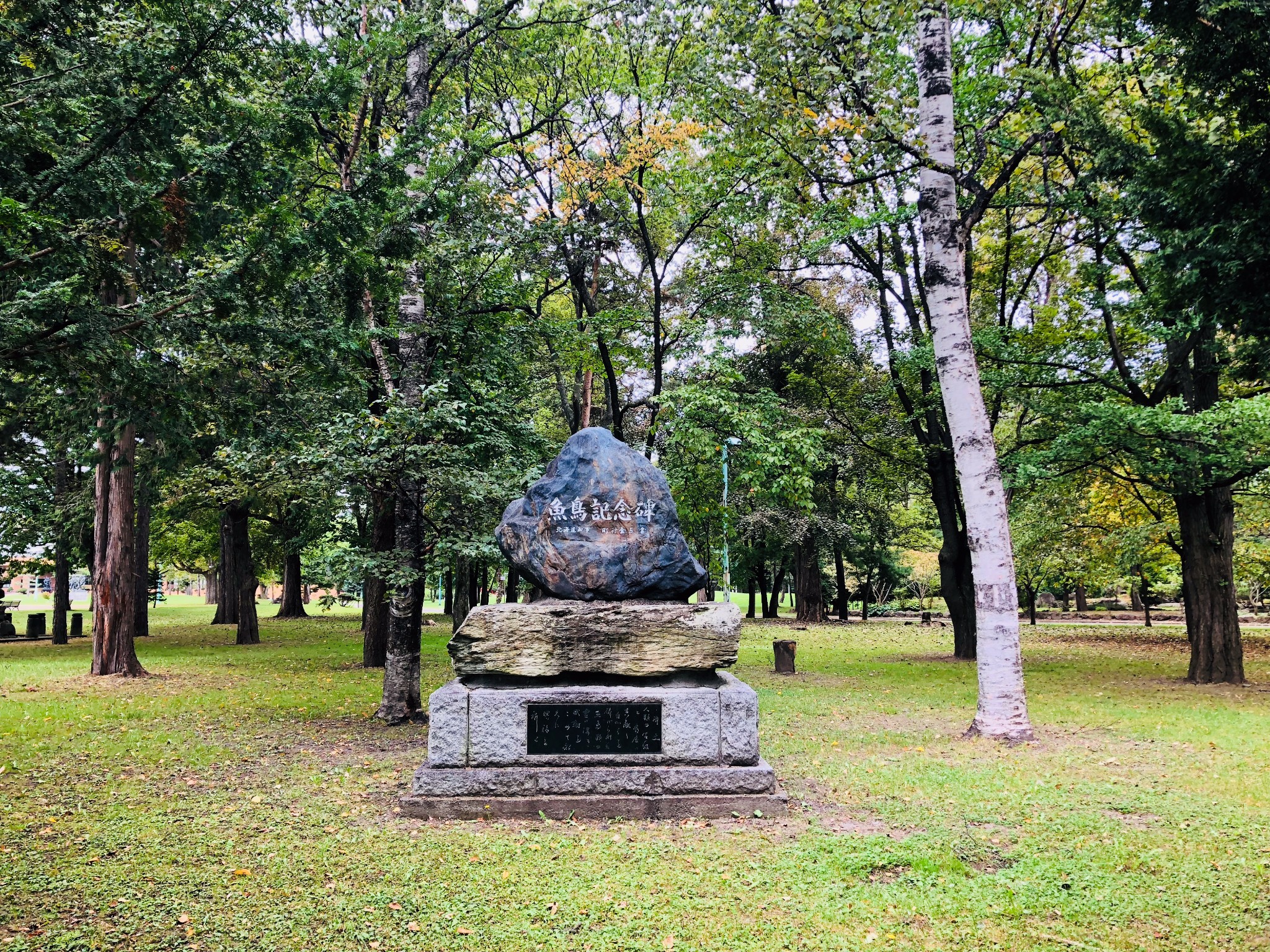 北海道自助遊攻略