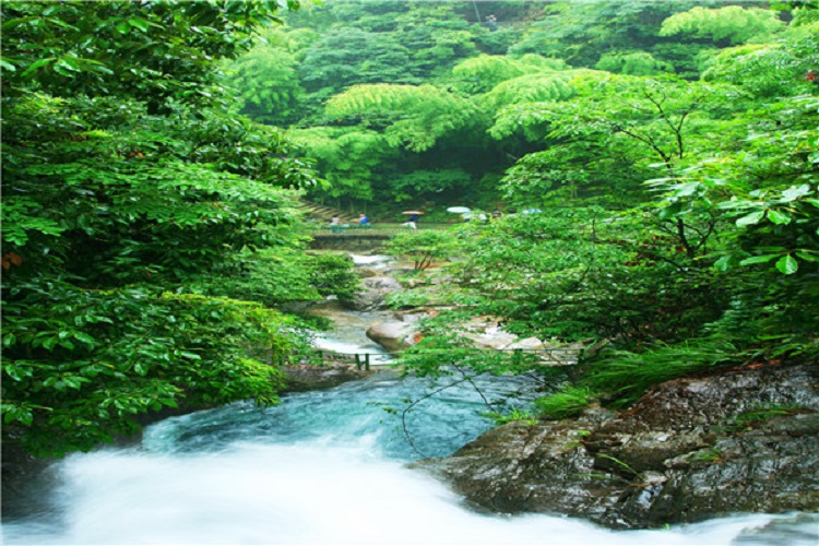 杭州临安白水涧门票 含景区交通(梦中世外桃源),马蜂窝自由行 - 马蜂