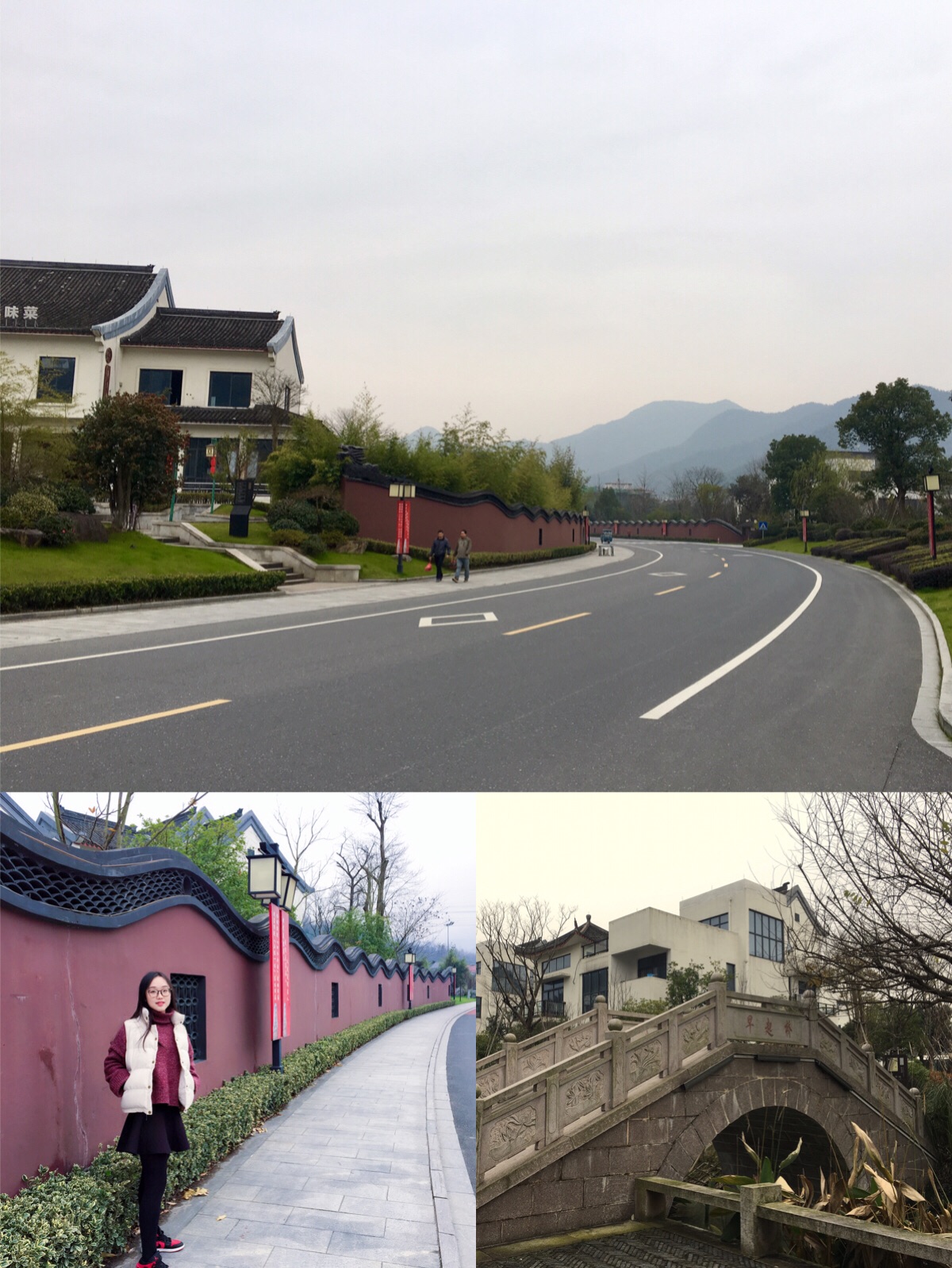 安吉人均_安吉白茶