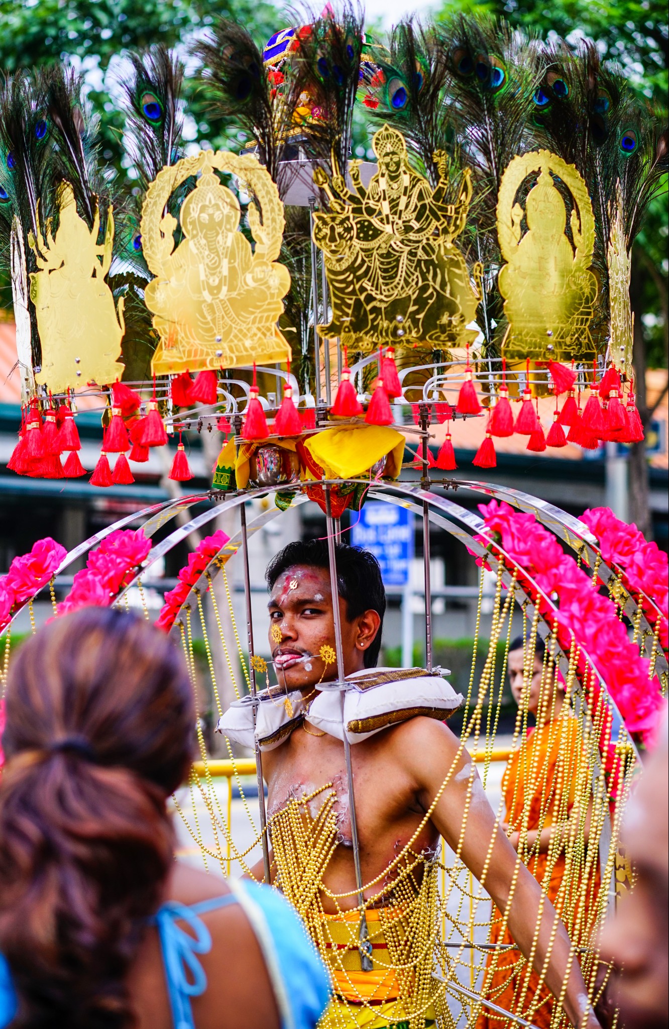 新加坡大宝森节图片
