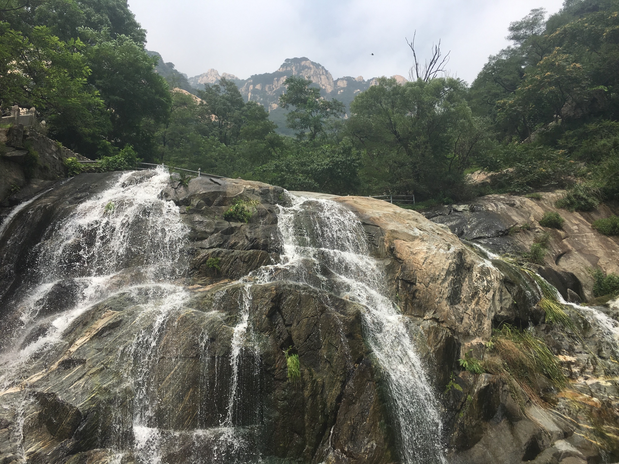 八月炎夏登泰山-泰安,濟南五日遊,泰安旅遊攻略 - 馬蜂窩