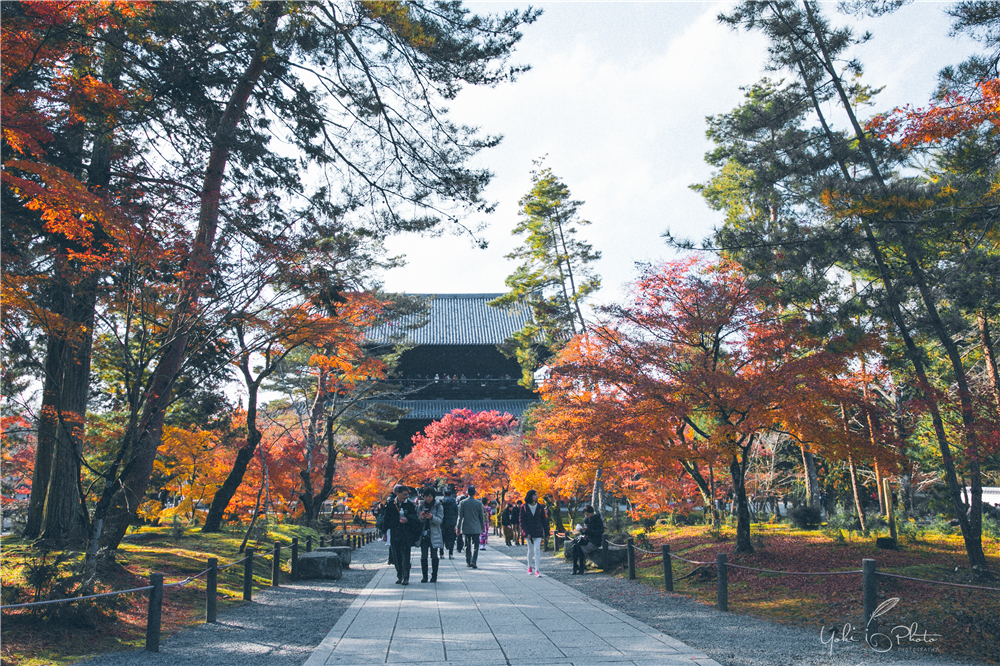 京都自助遊攻略