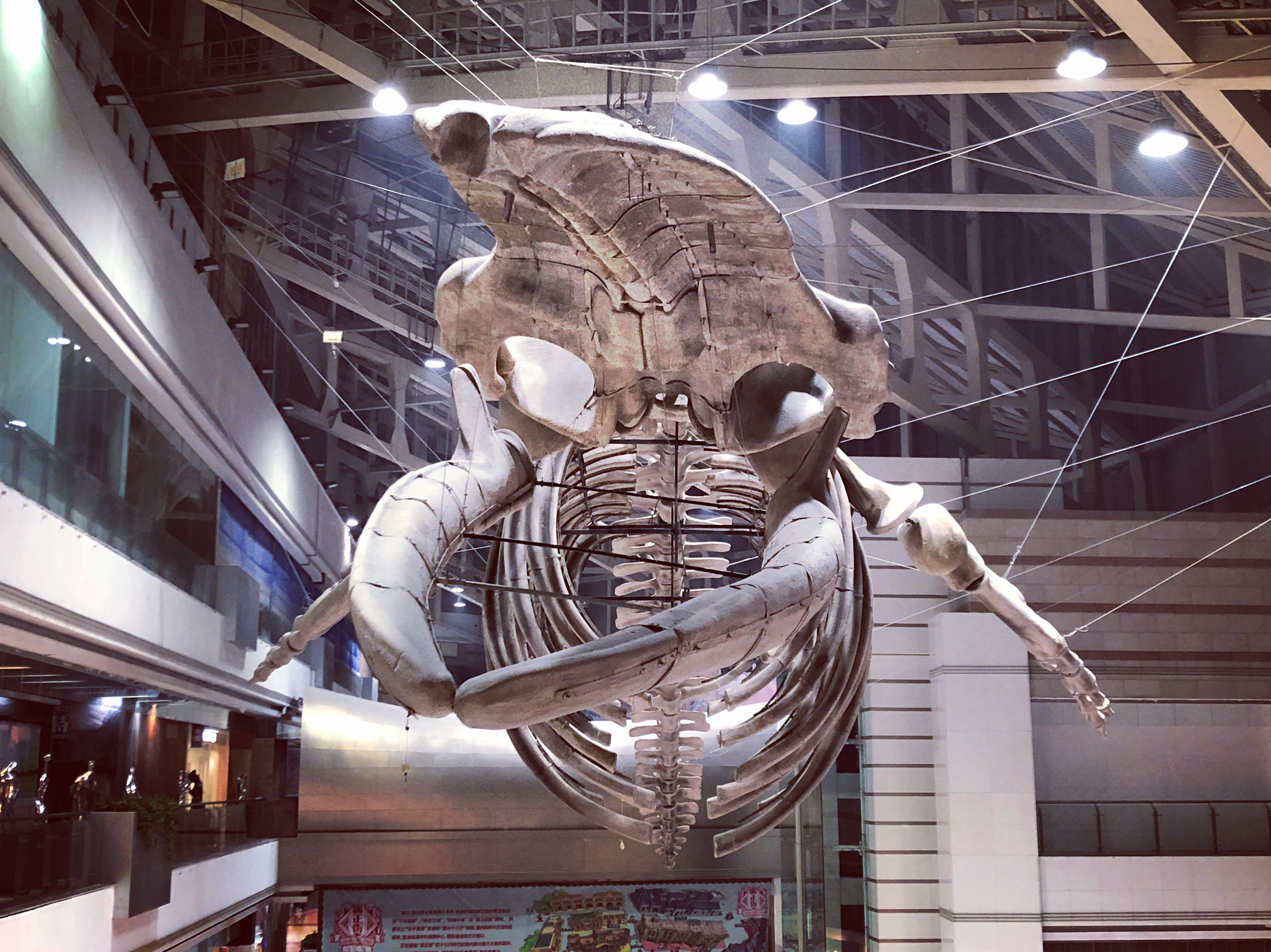 自动出票 广东正佳自然科学博物馆门票