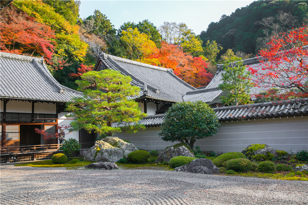 京都自助遊攻略