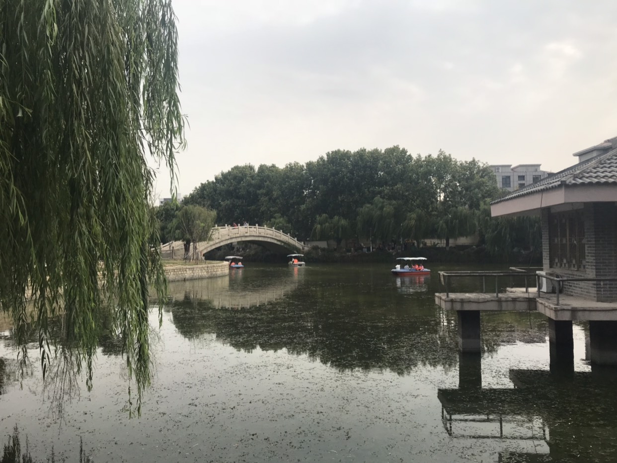 地址:山东省青岛市平度市红旗路29号35         张