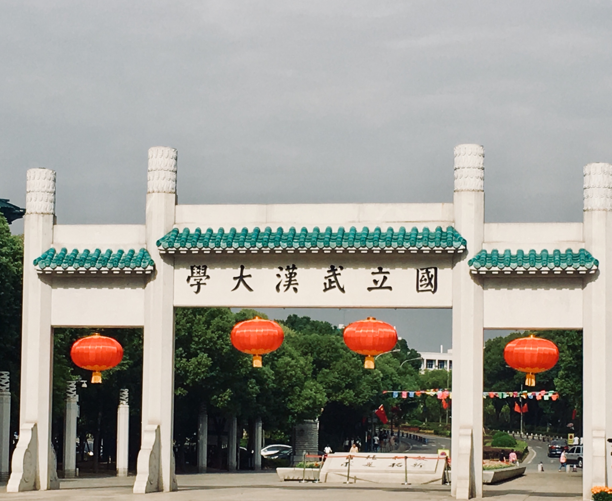 武汉出逃人口_武汉地铁出人口图片(2)