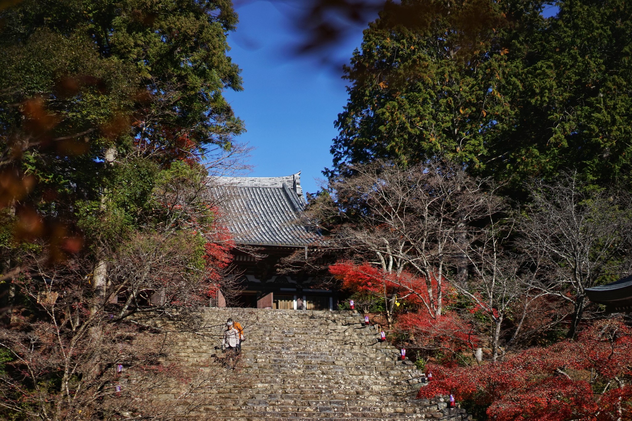 京都自助遊攻略