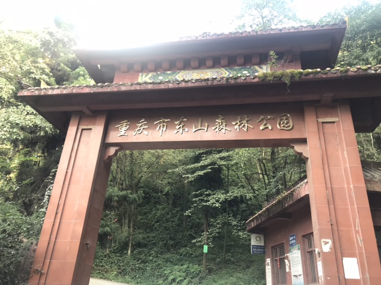 梁平东山森林公园