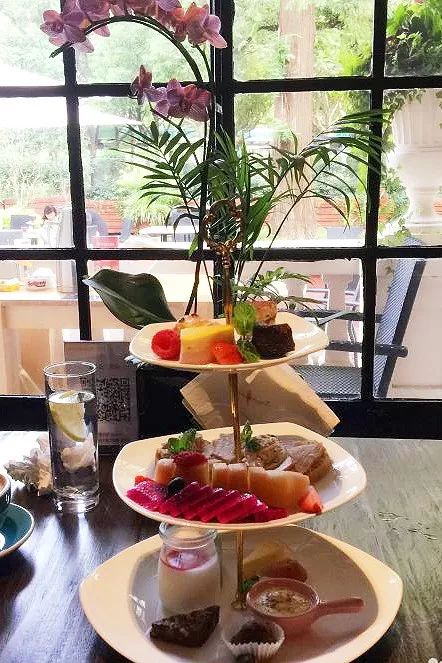 梧桐落叶赏秋景,梦境上海的洋房下午茶