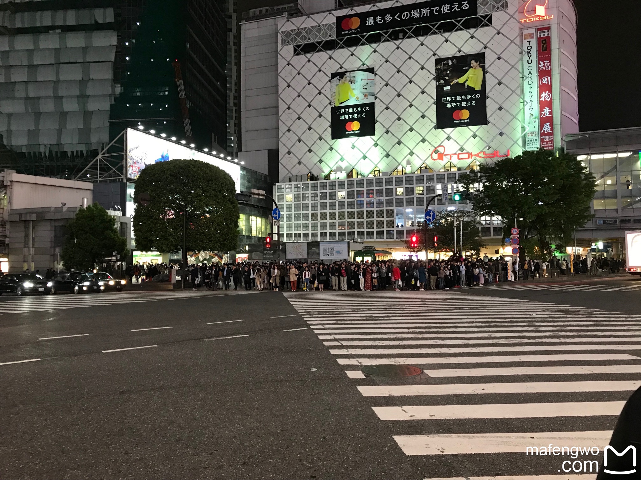 東京自助遊攻略