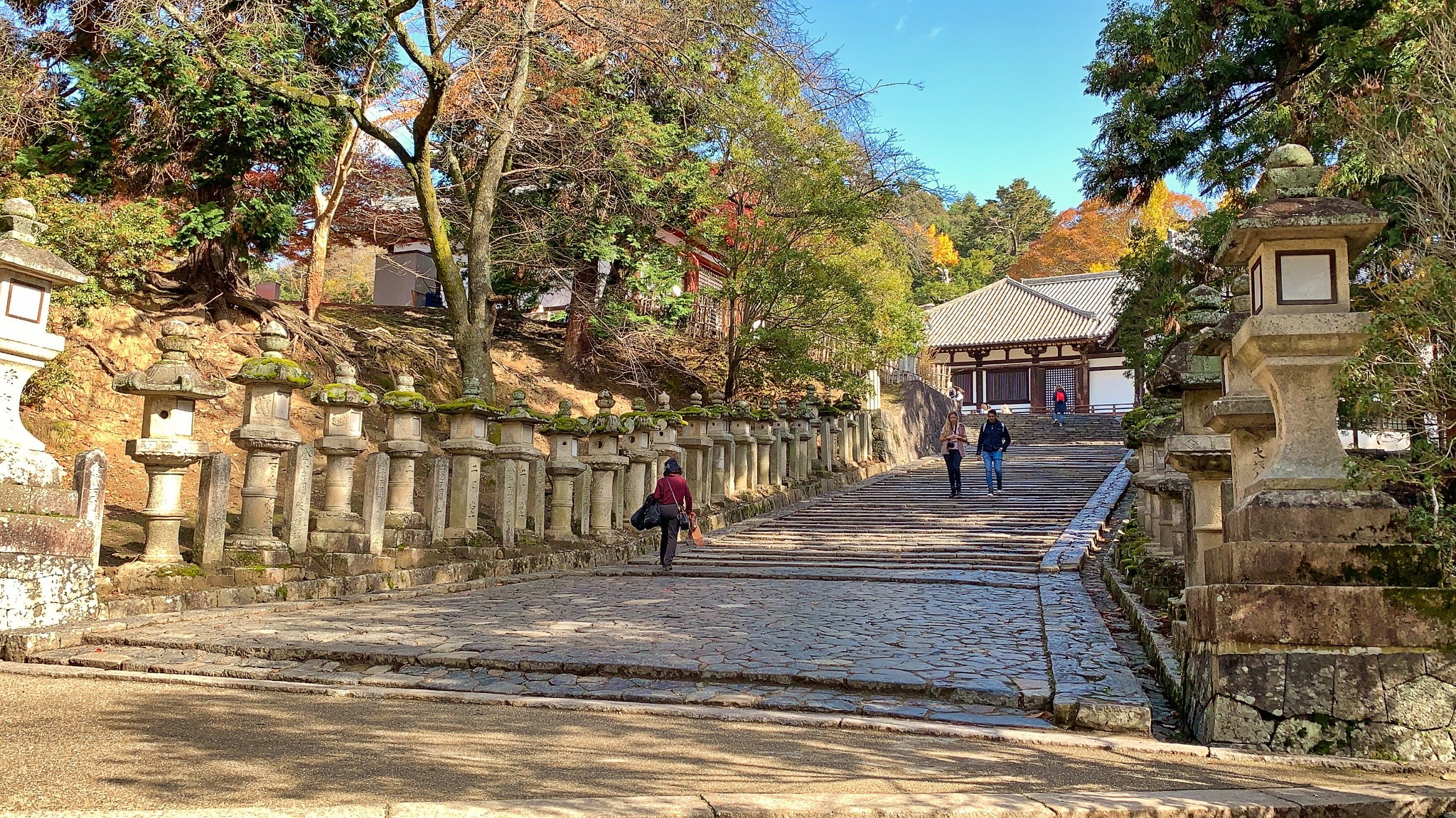 京都自助遊攻略